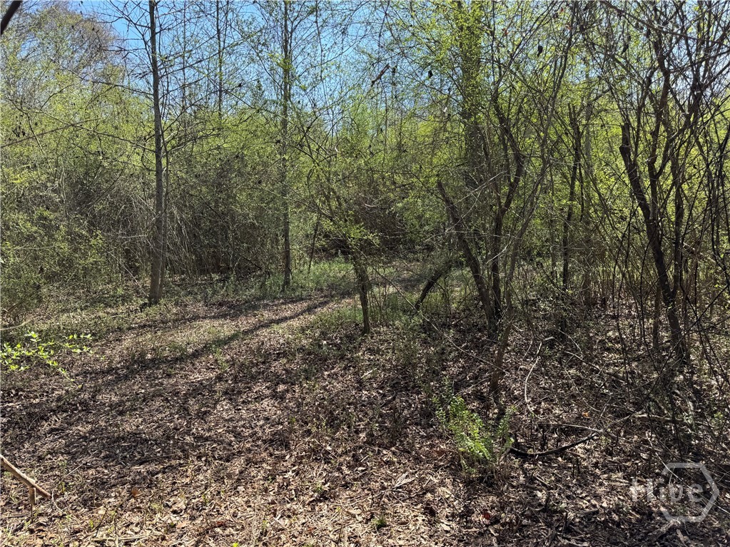 738 Old Mineral Springs Road, Elberton, GA, 30635