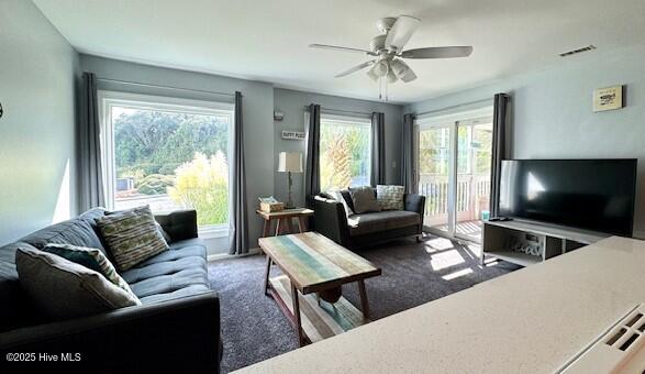 100555120 | Photo 21