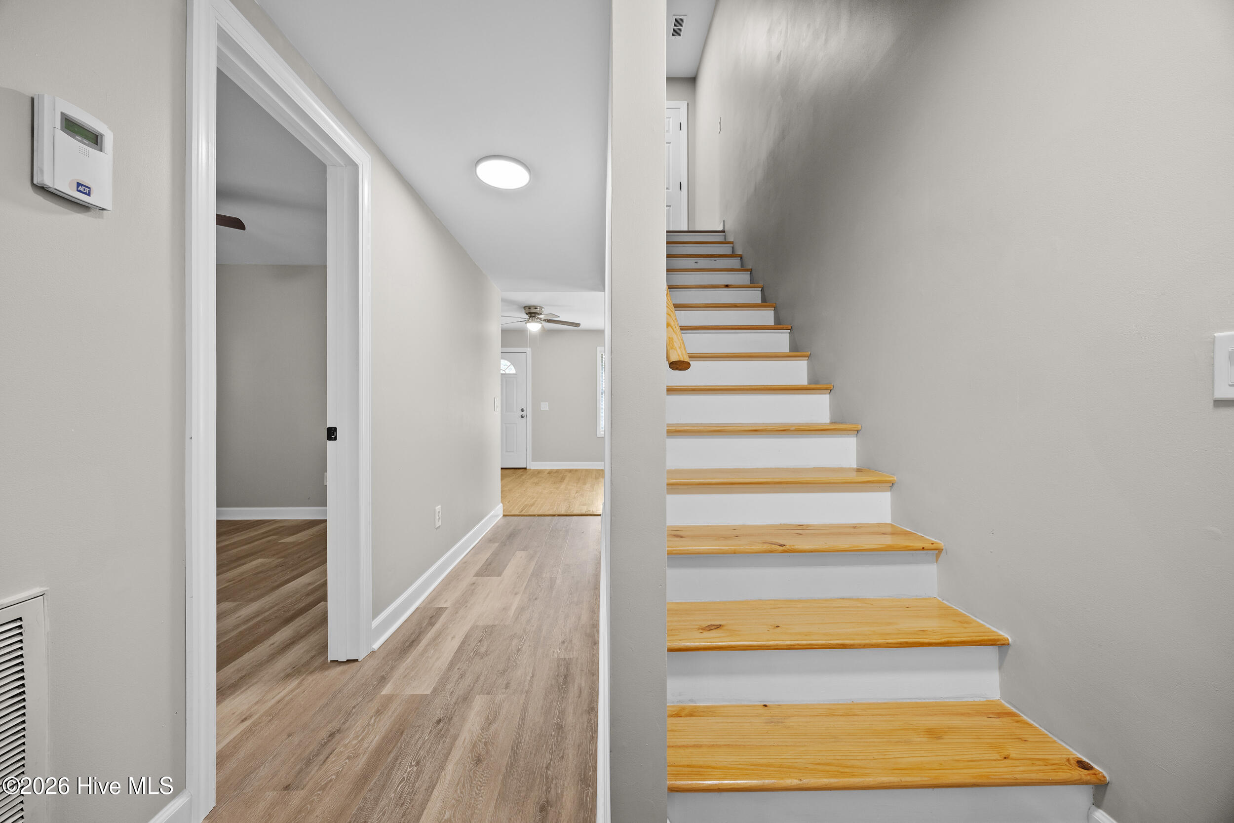 100558916 | Photo 16