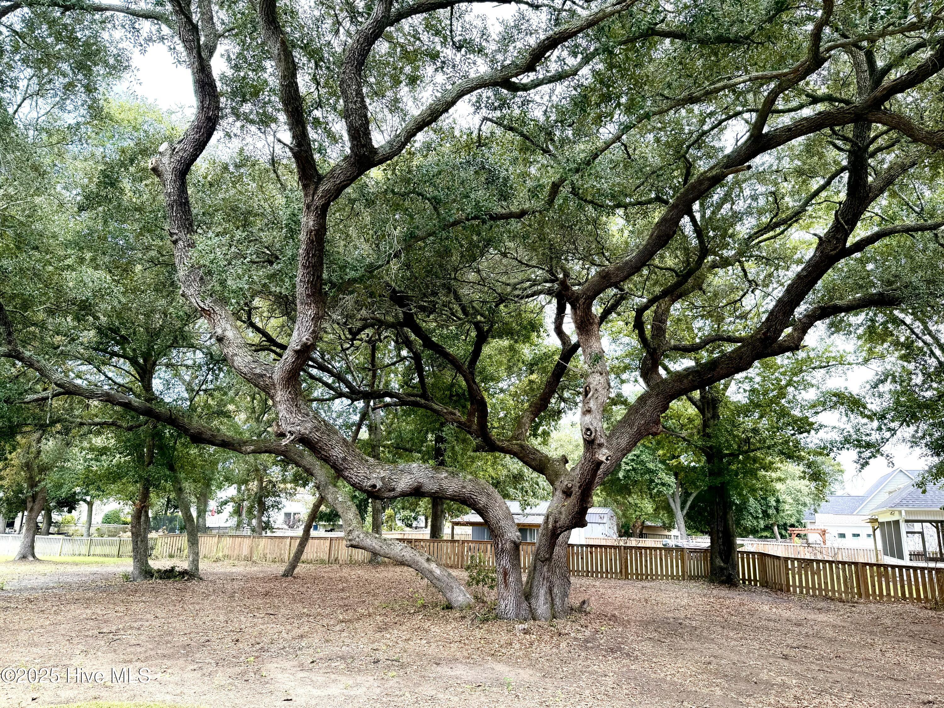 100529852 | Photo 48