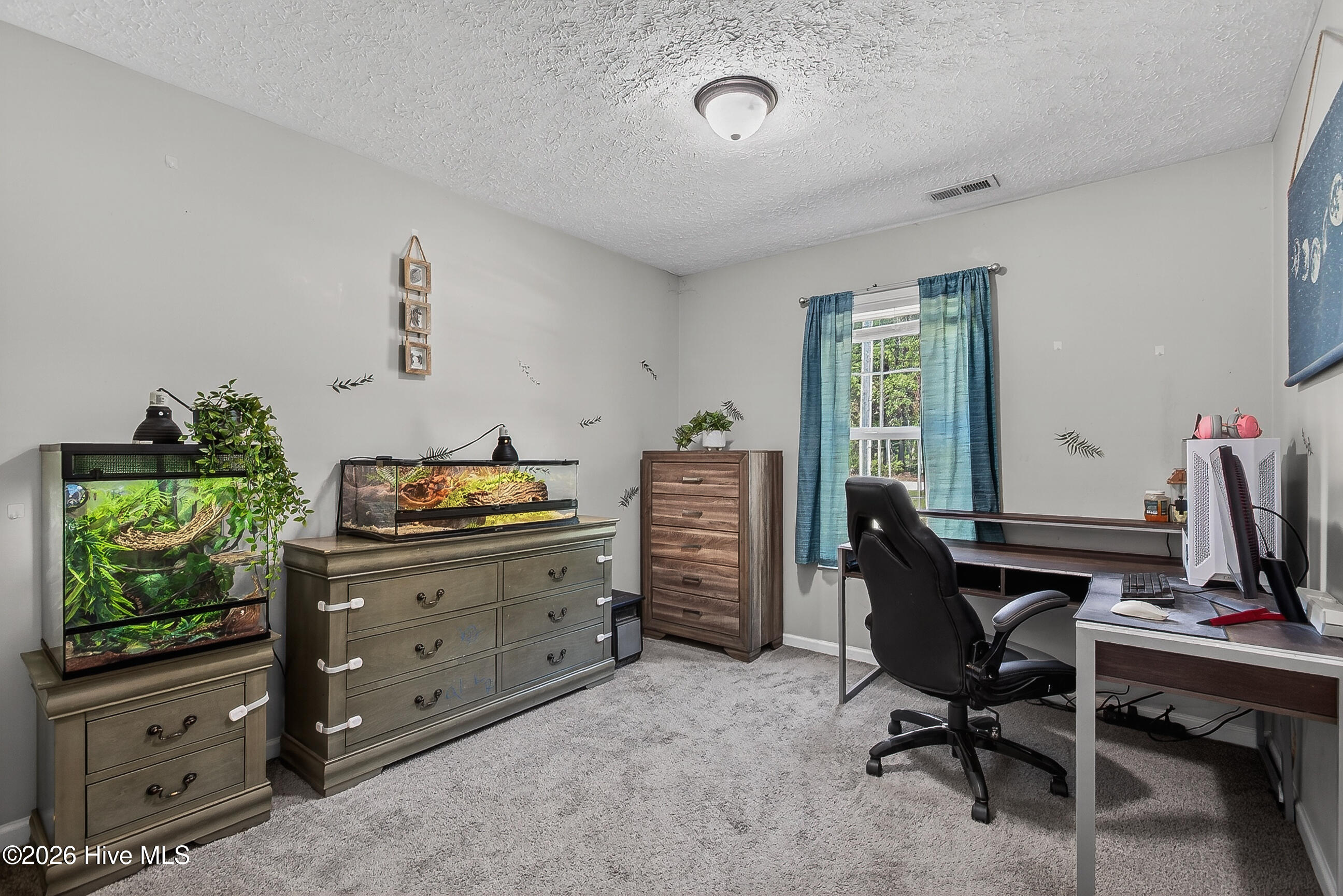 100569202 | Photo 21