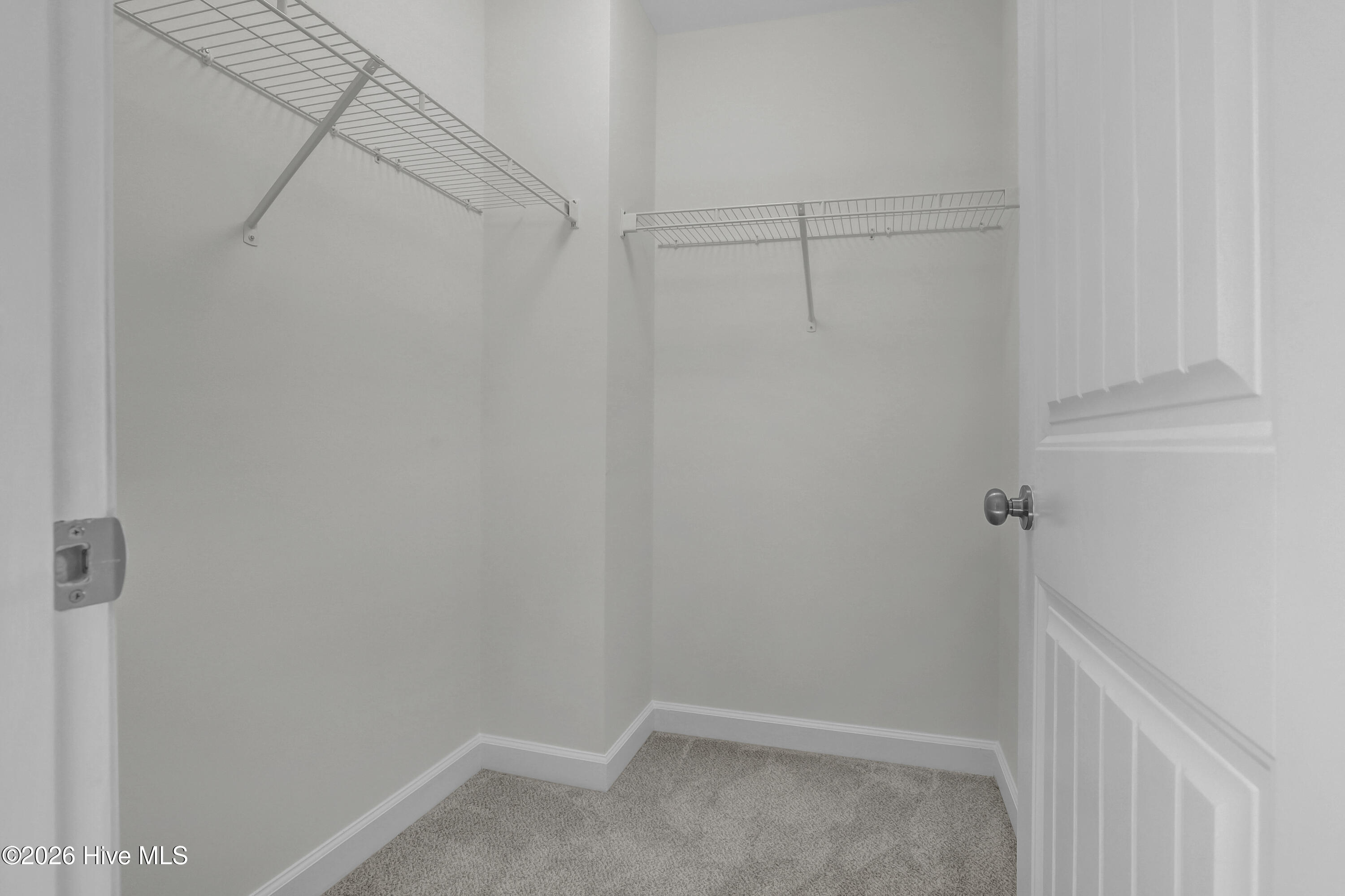 100556478 | Photo 34