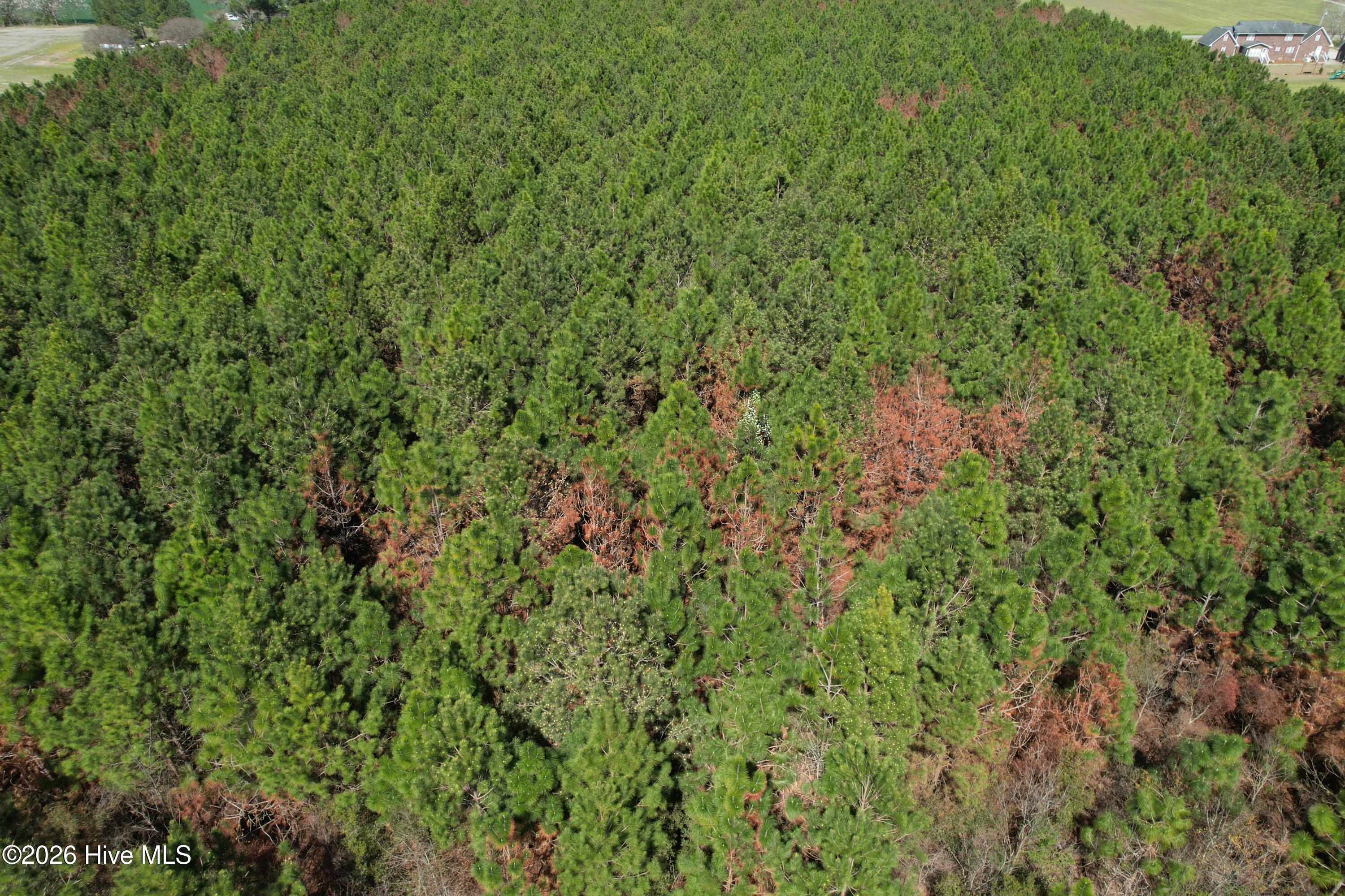 100560557 | Photo 20