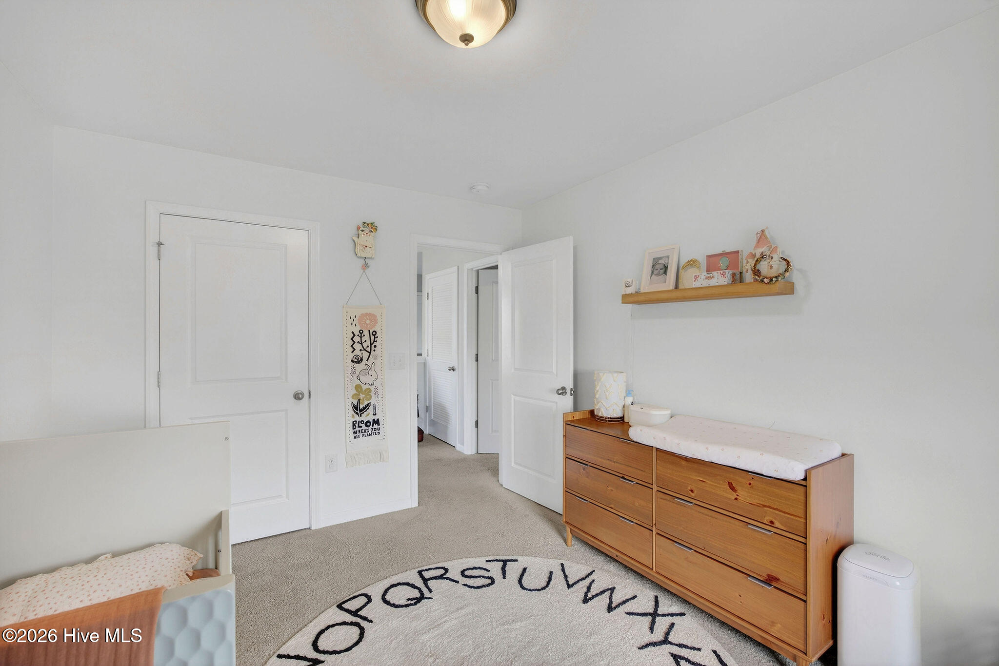 100562313 | Photo 37