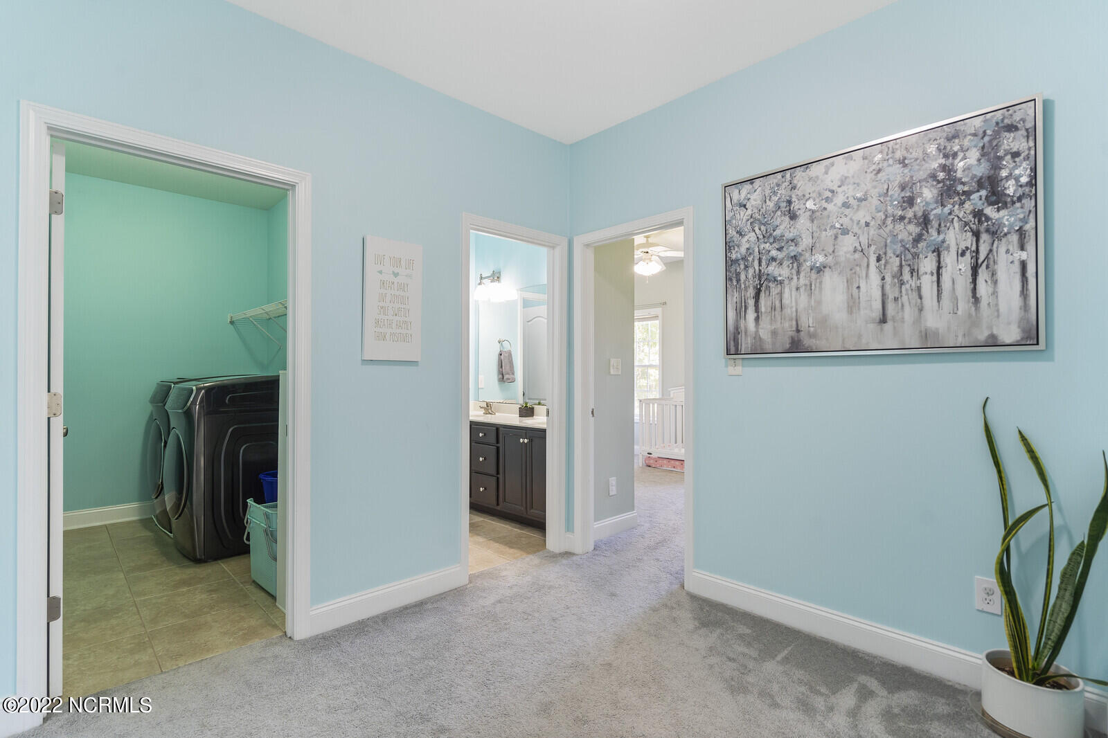 100556304 | Photo 33