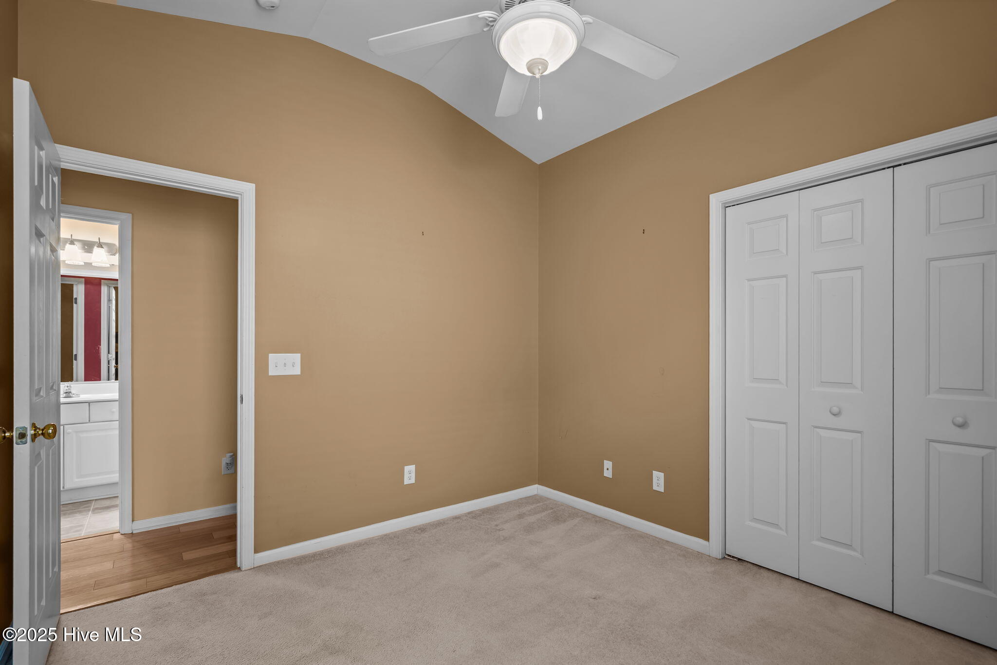 100538741 | Photo 33