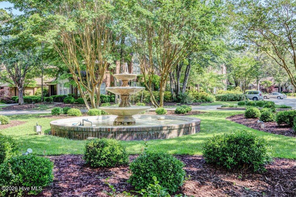 100546744 | Photo 36