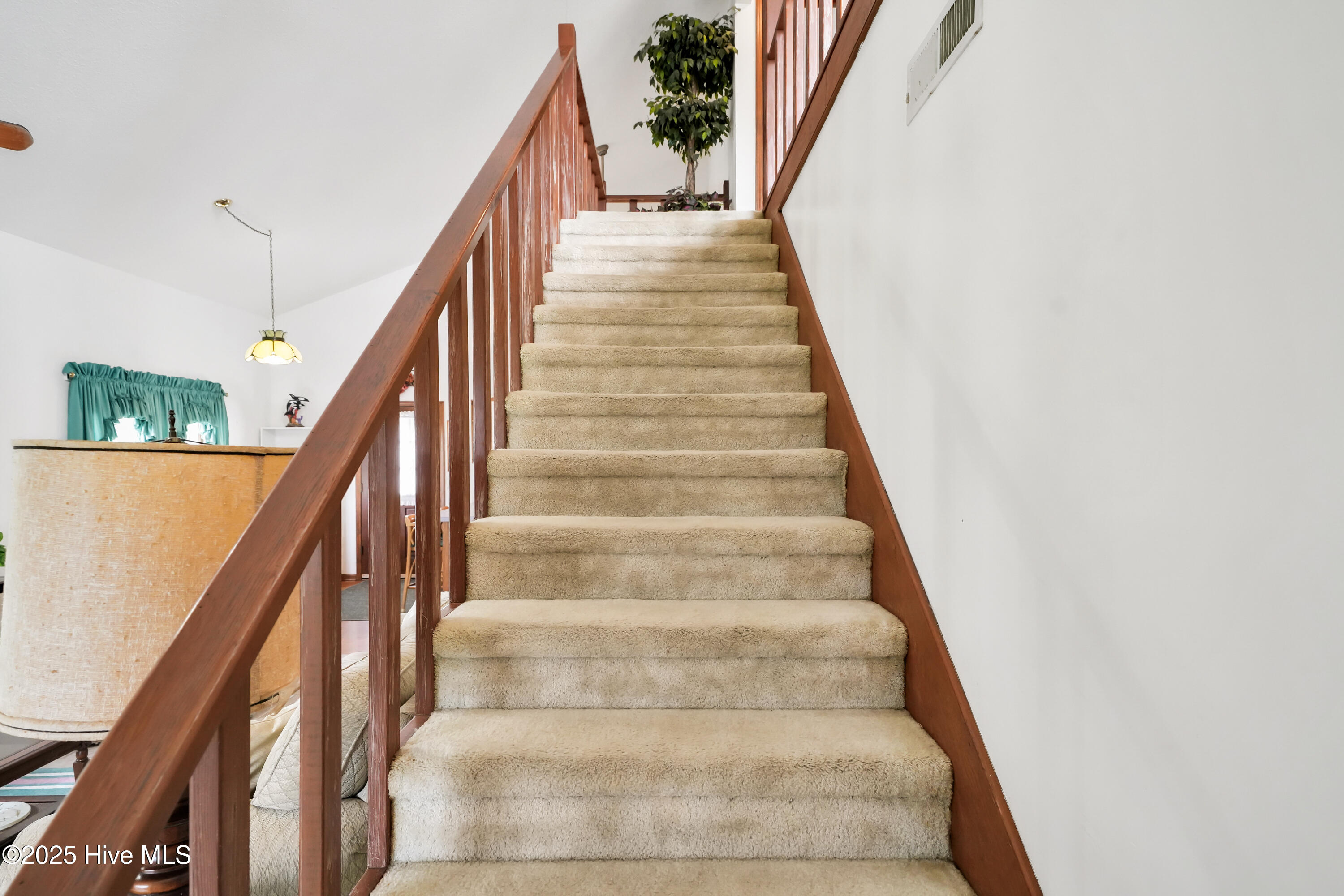 100530451 | Photo 19