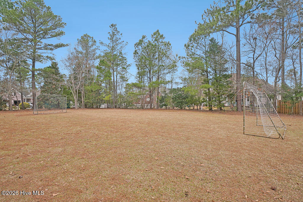 100577333 | Photo 76