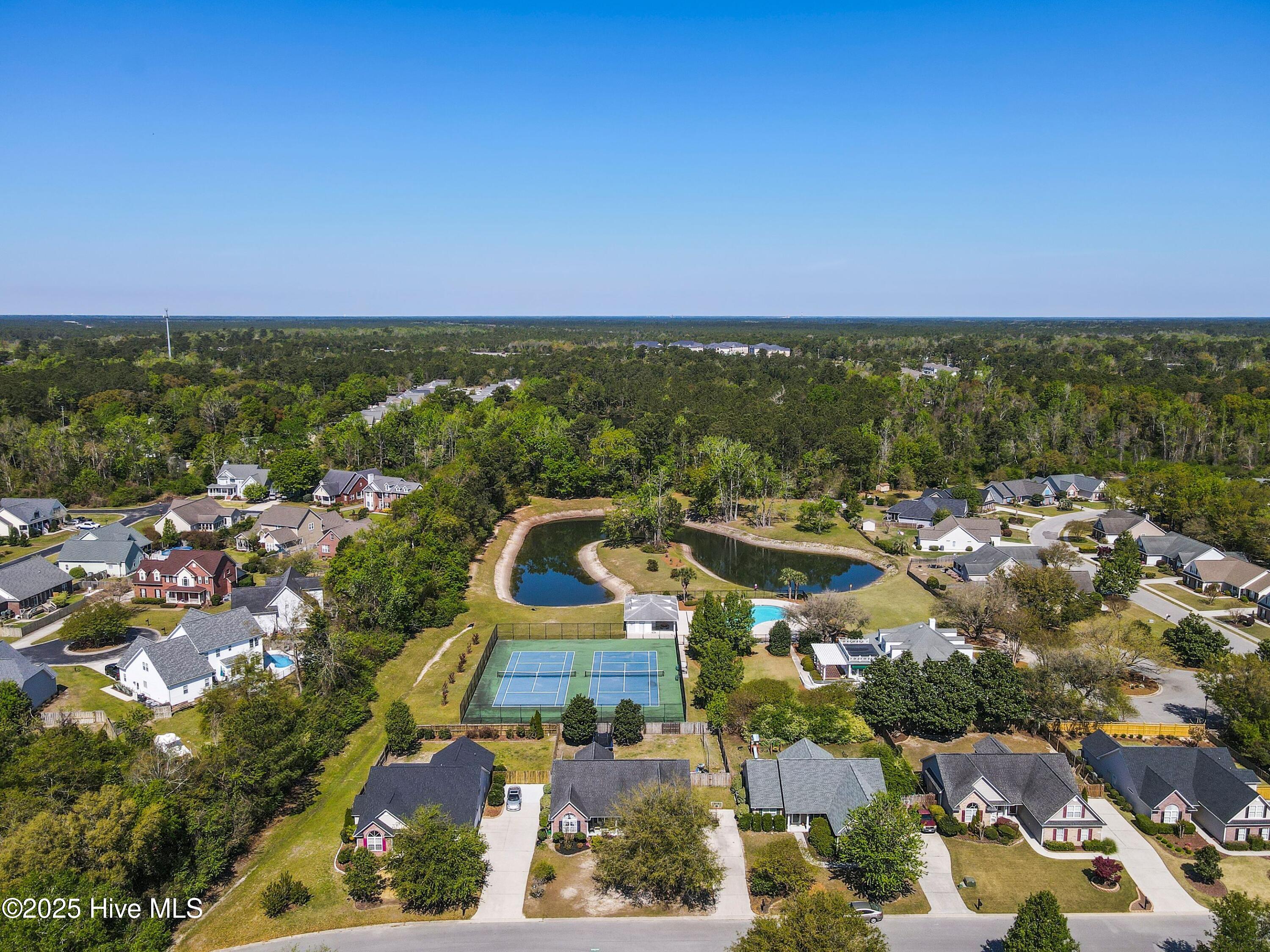 100509551 | Photo 45