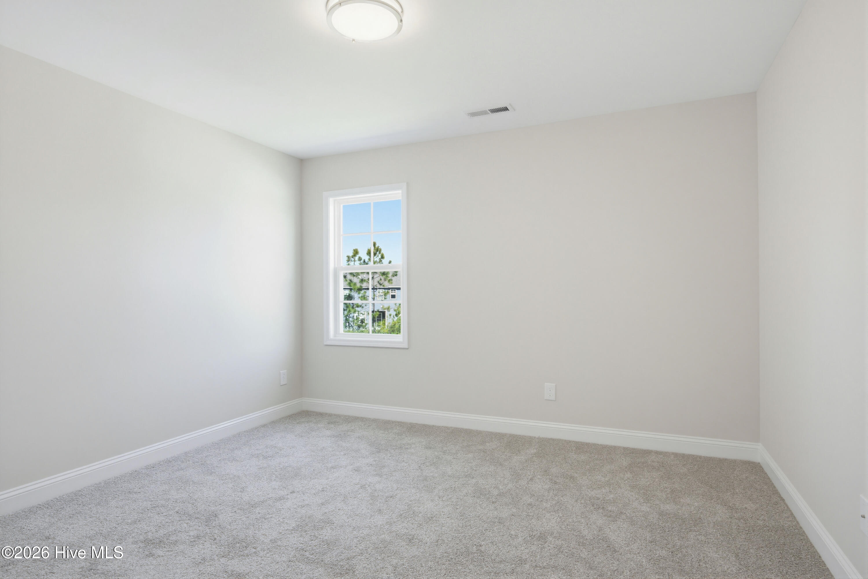 100567262 | Photo 21