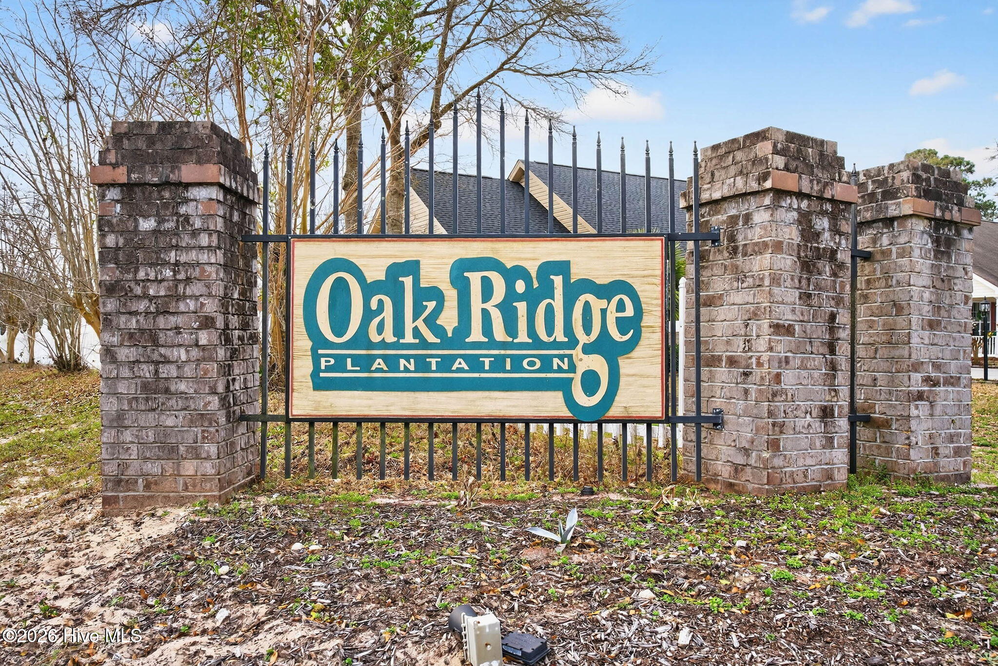 100556471 | Photo 49