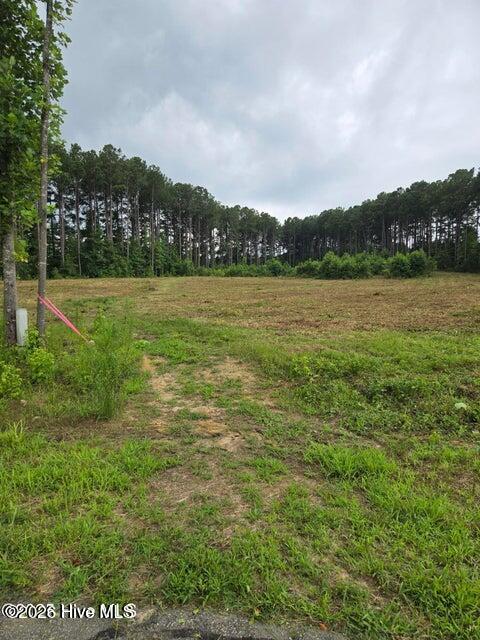 Exterior photo of Lot 51 51 Roseheath Court, Bailey, NC 27807. MLS: 100592345