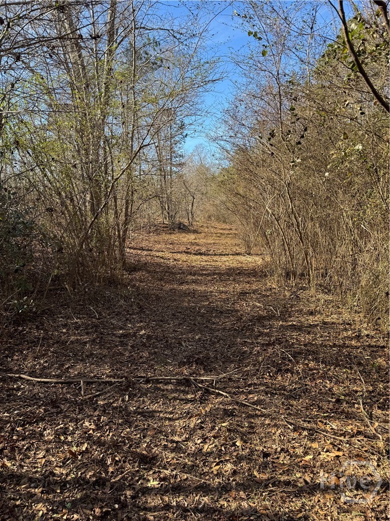 738 Old Mineral Springs Road, Elberton, GA, 30635