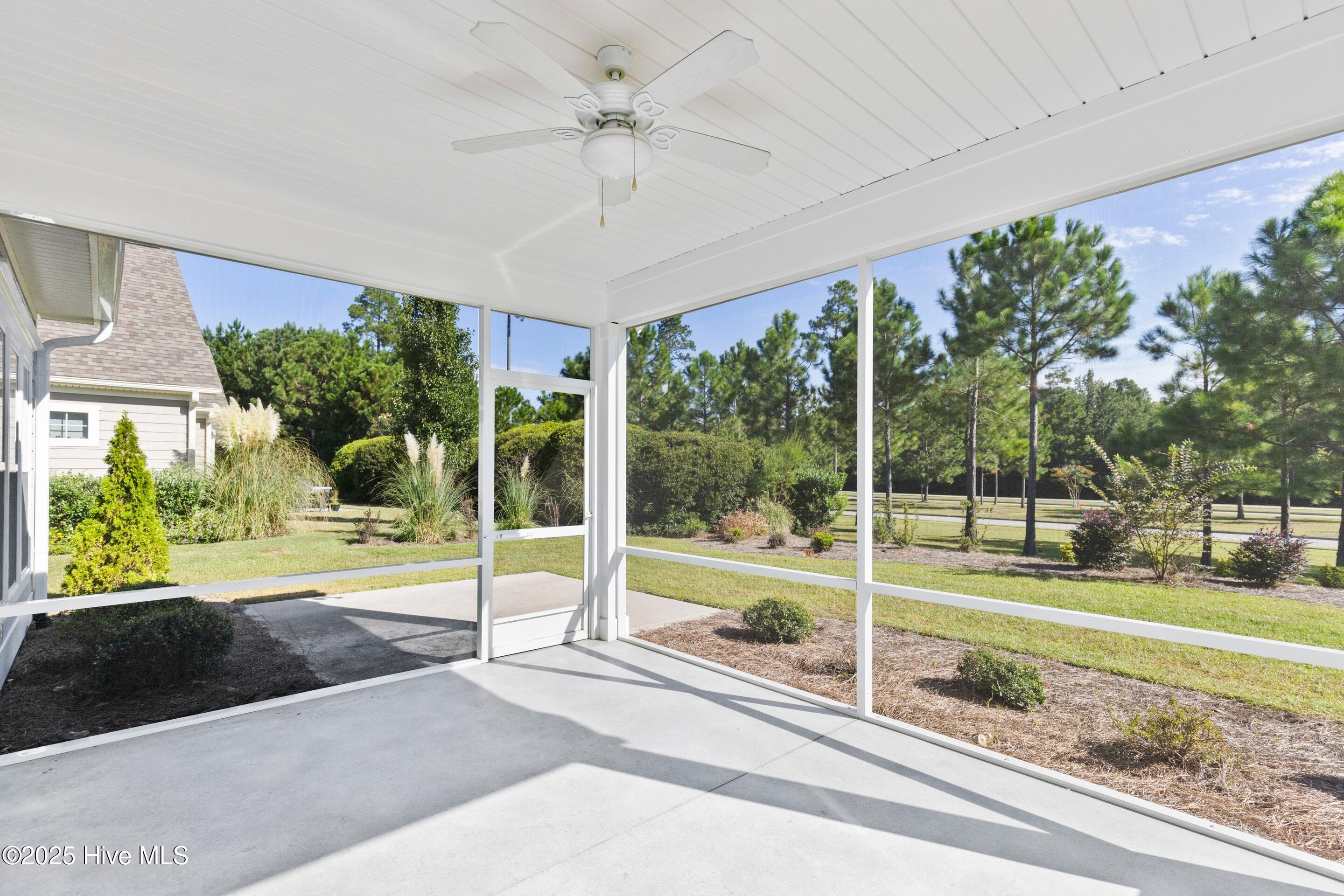 100531261 | Photo 63