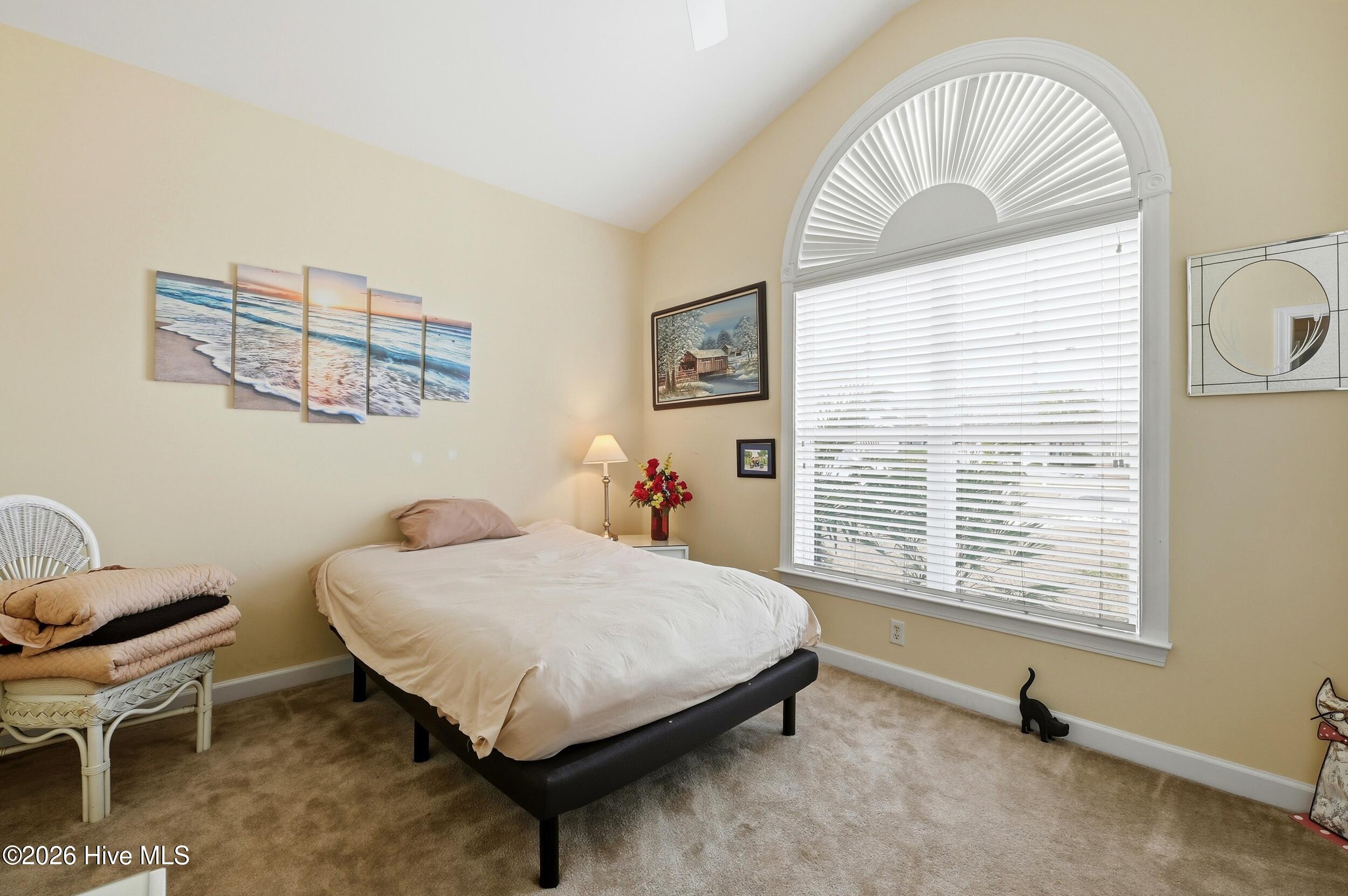 100553802 | Photo 28