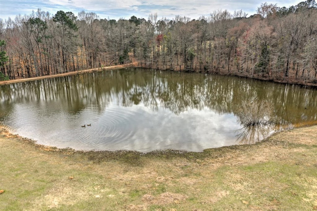 3495 Elberton Highway, Lincolnton, GA 30817 Listing Photo  65