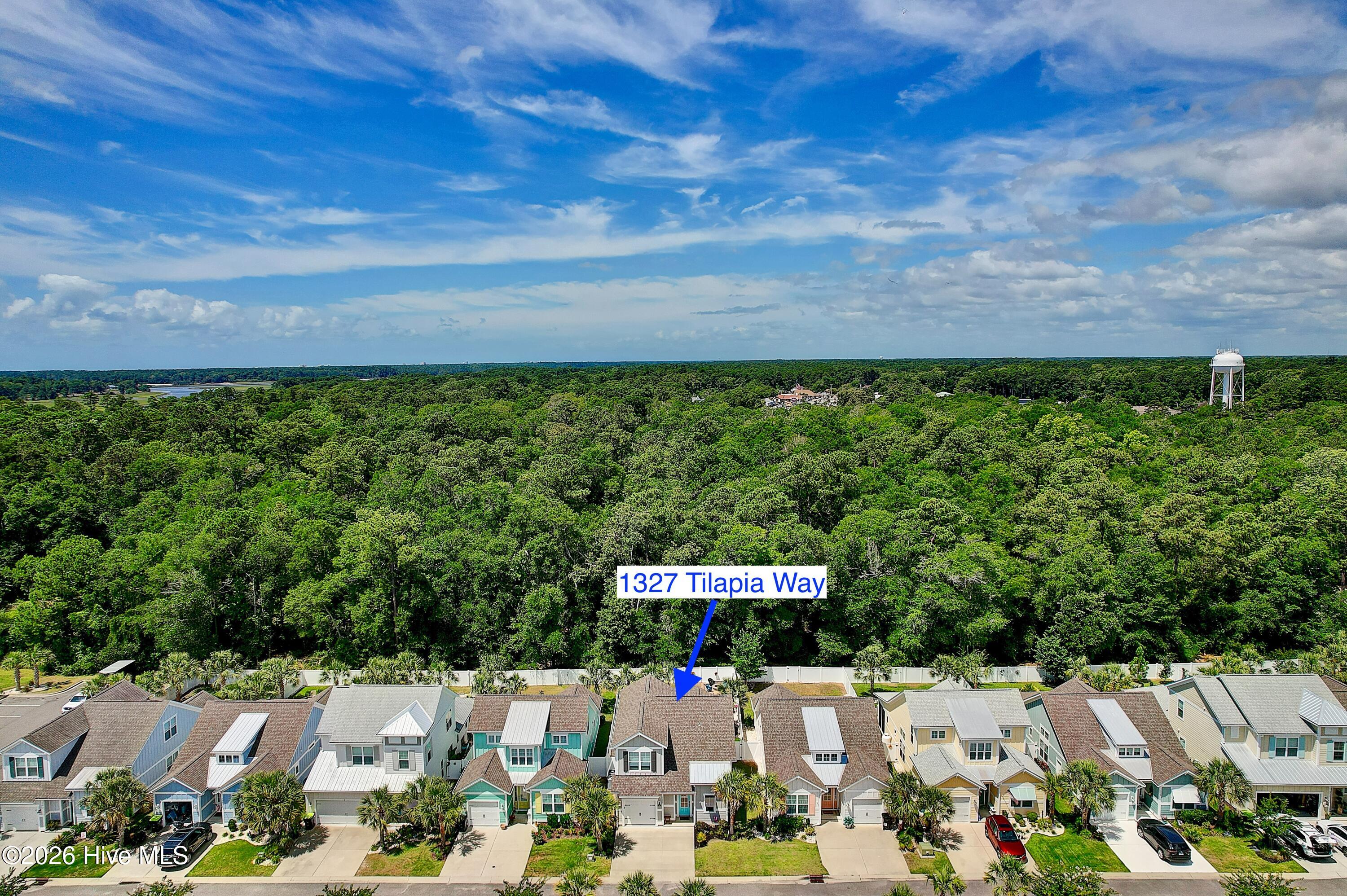 100561295 | Photo 44