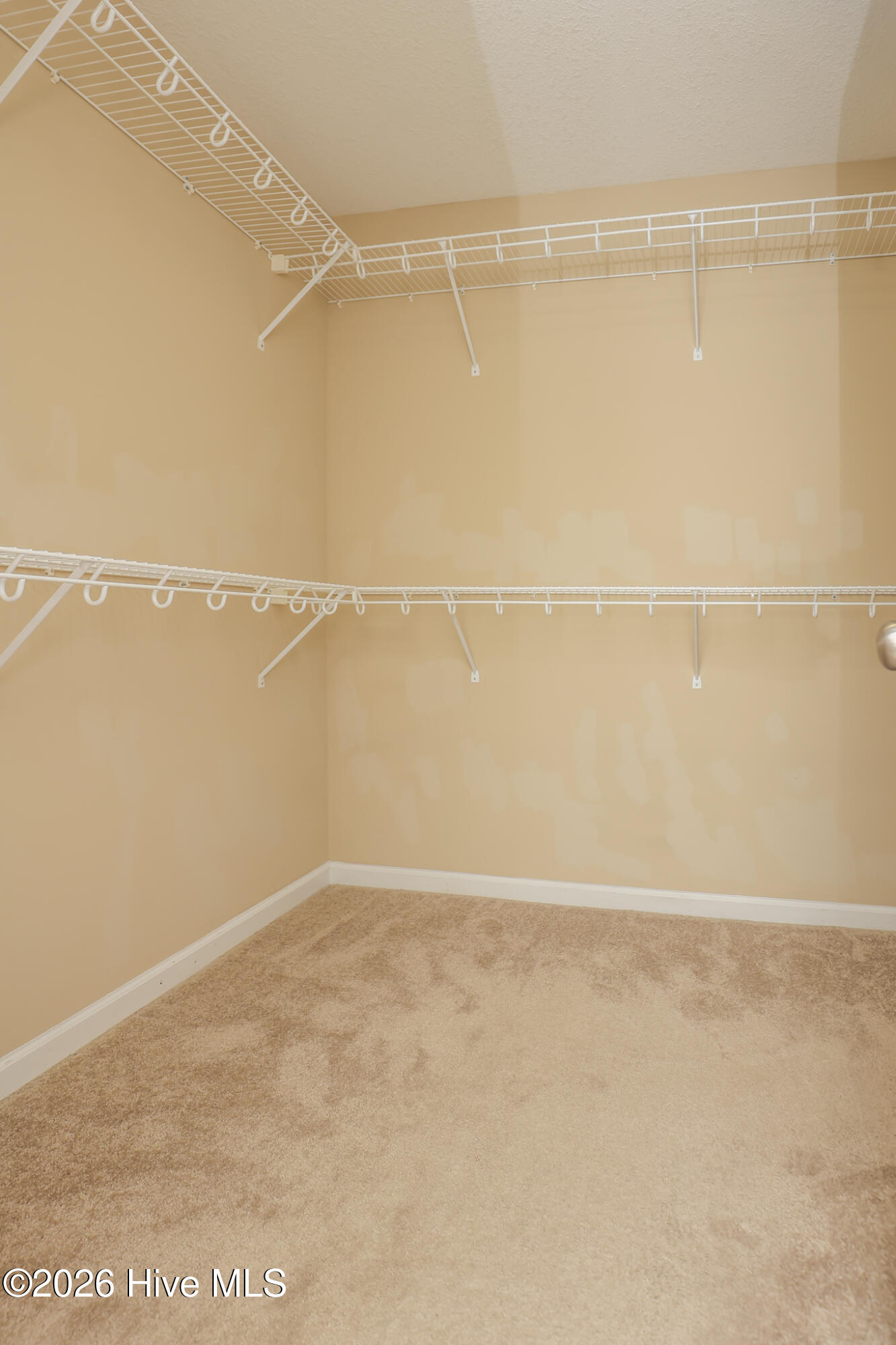 100562505 | Photo 29