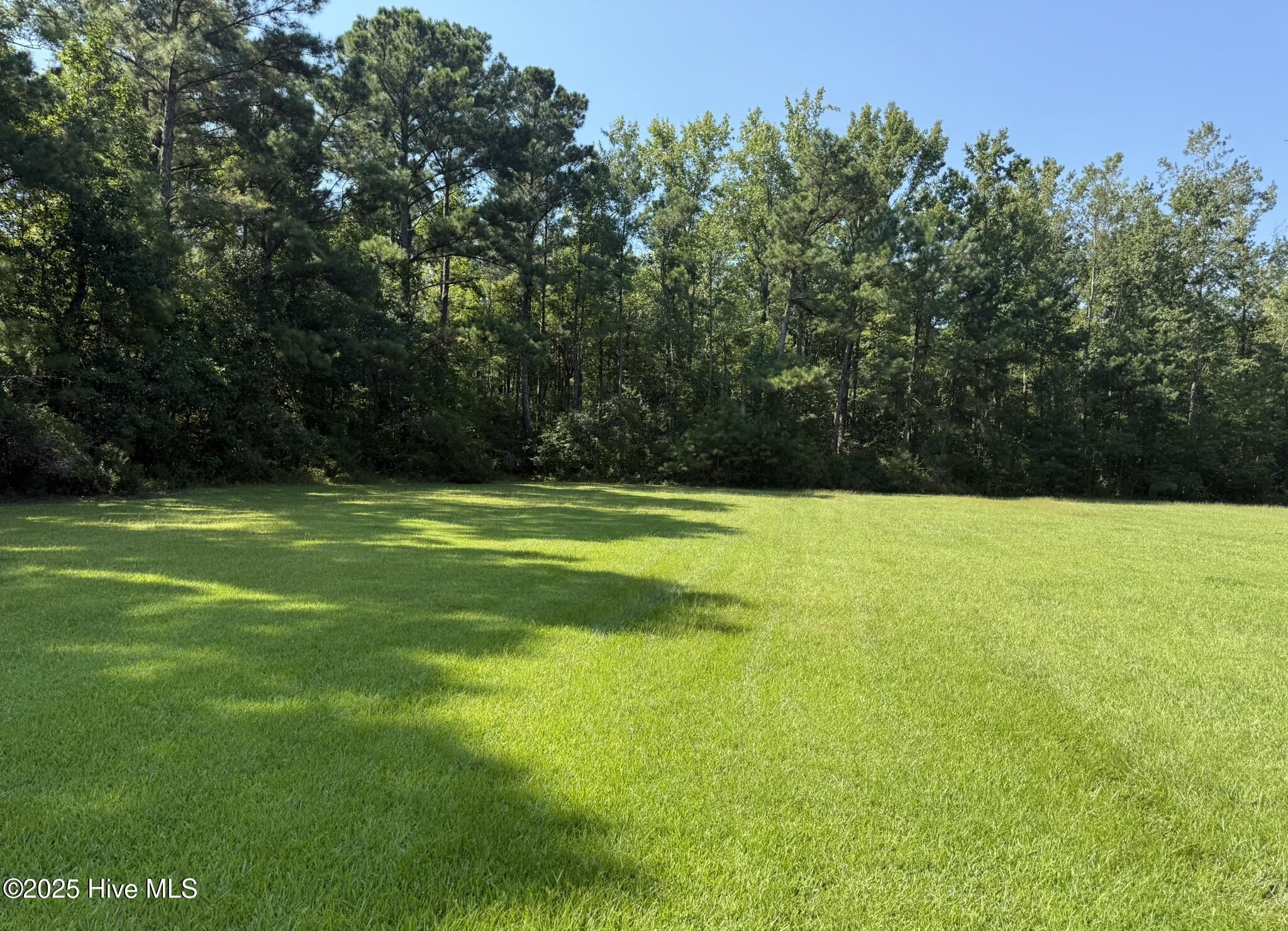 100528151 | Photo 18