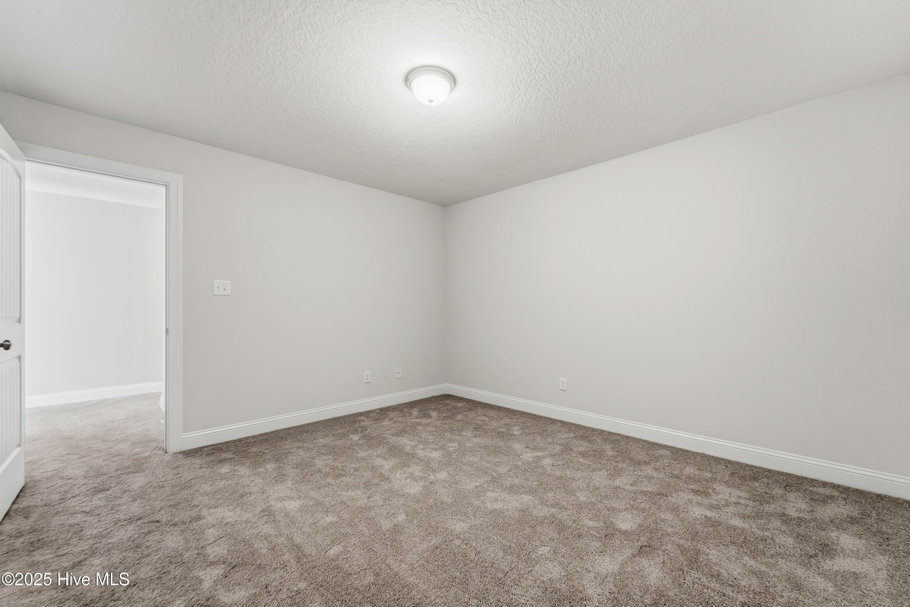 100507168 | Photo 33