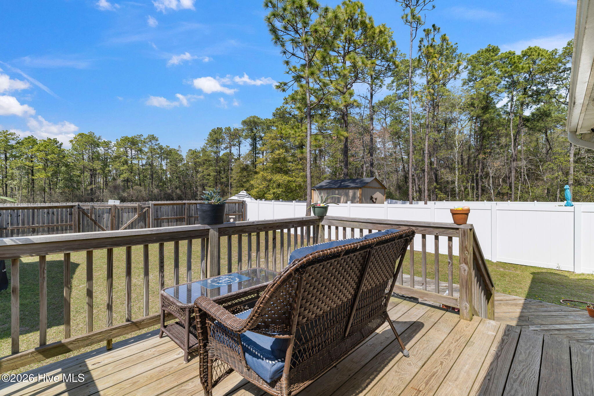 100562103 | Photo 30