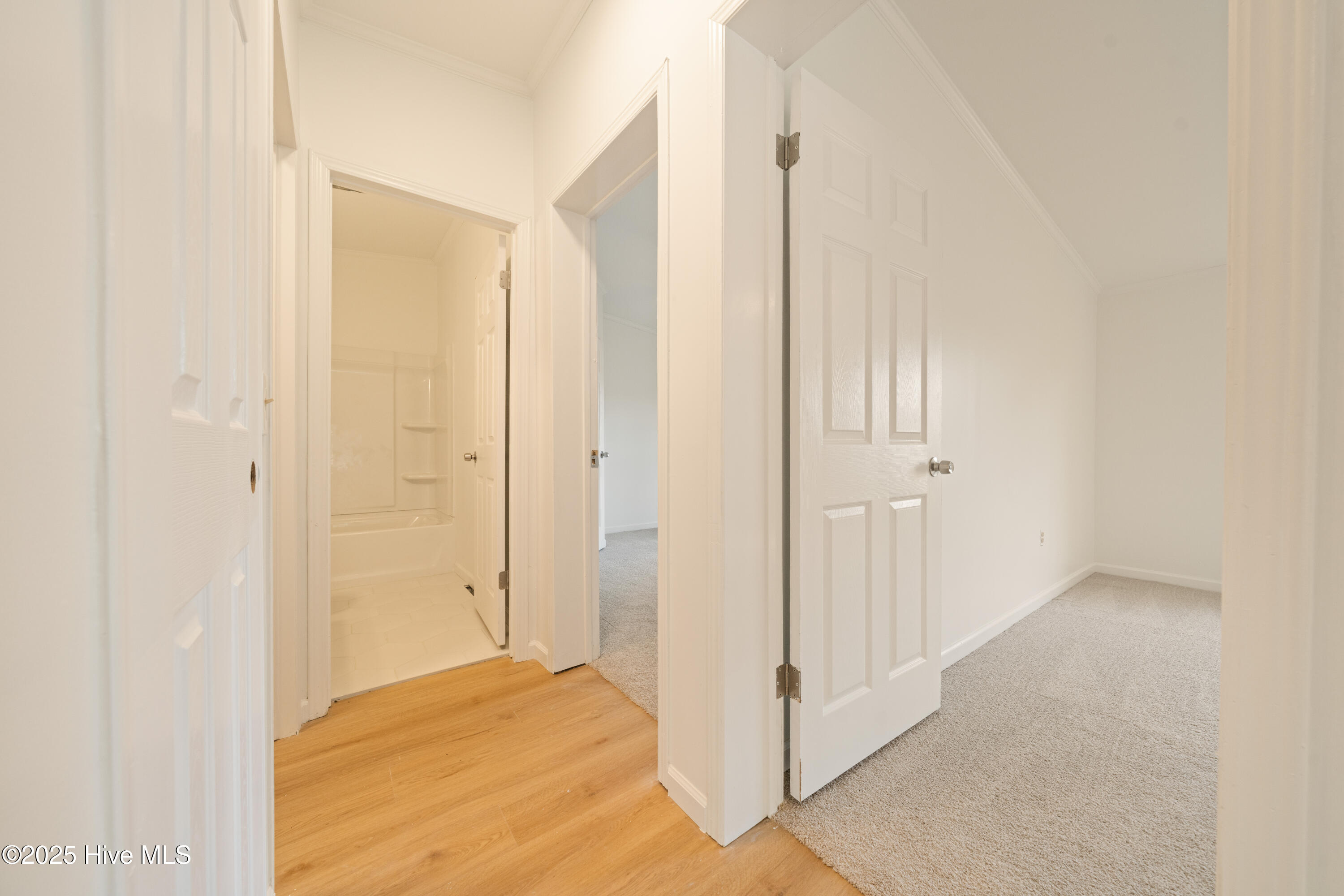 100541471 | Photo 27