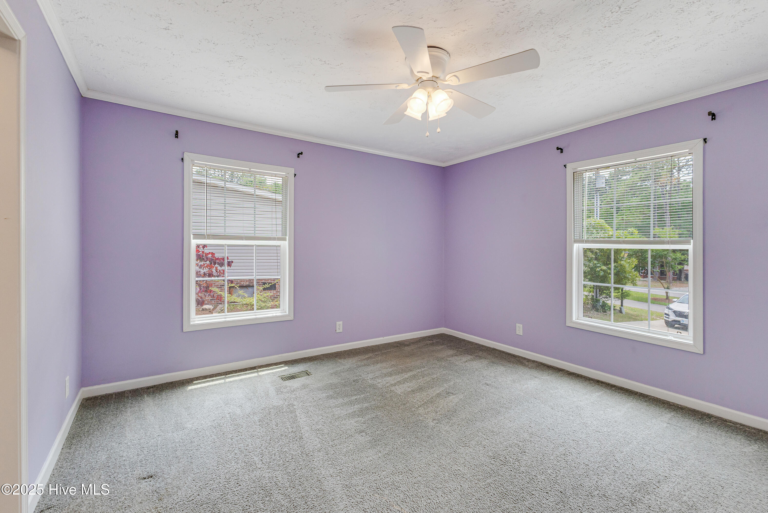 100508775 | Photo 23