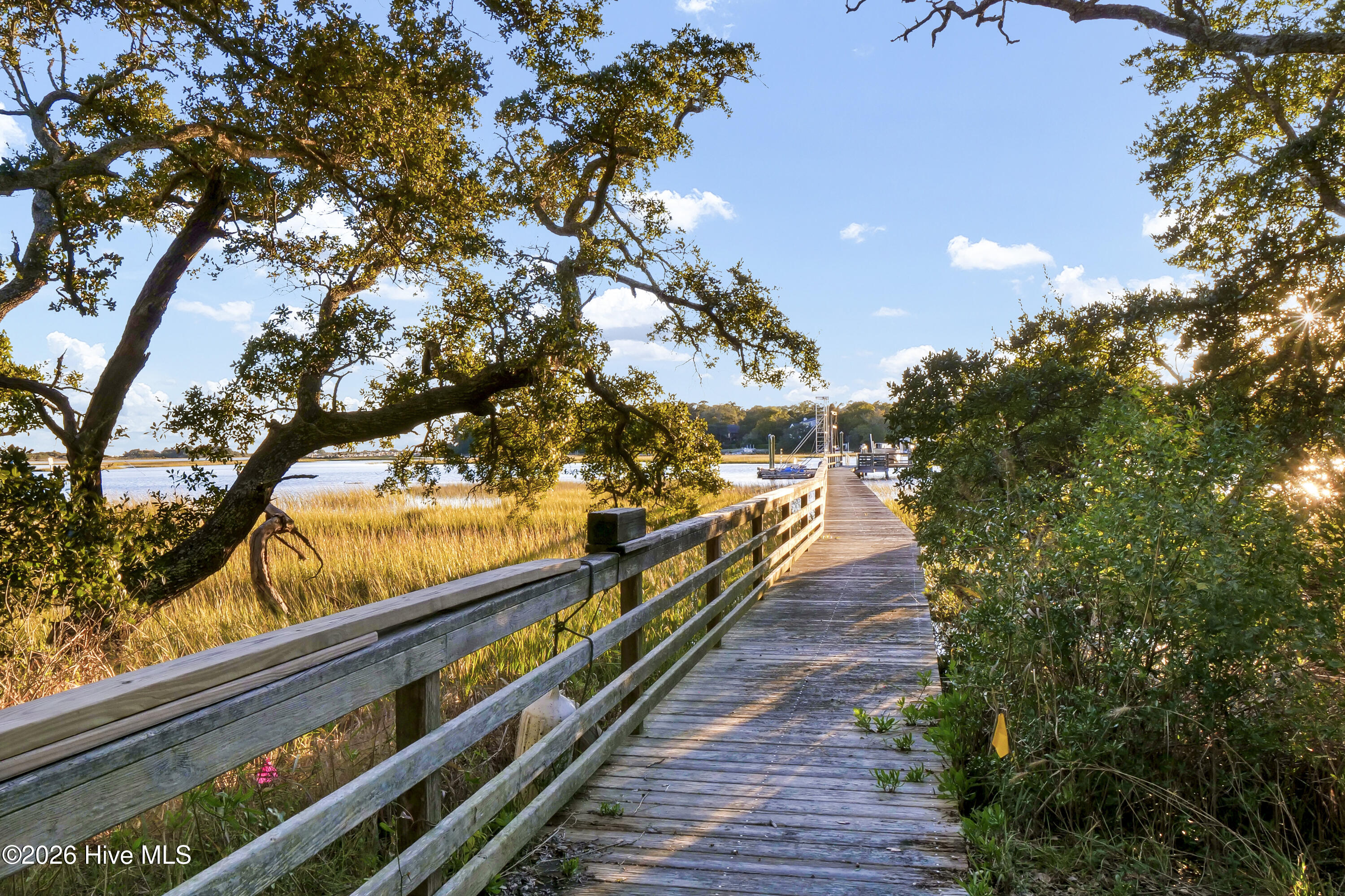 100563233 | Photo 10