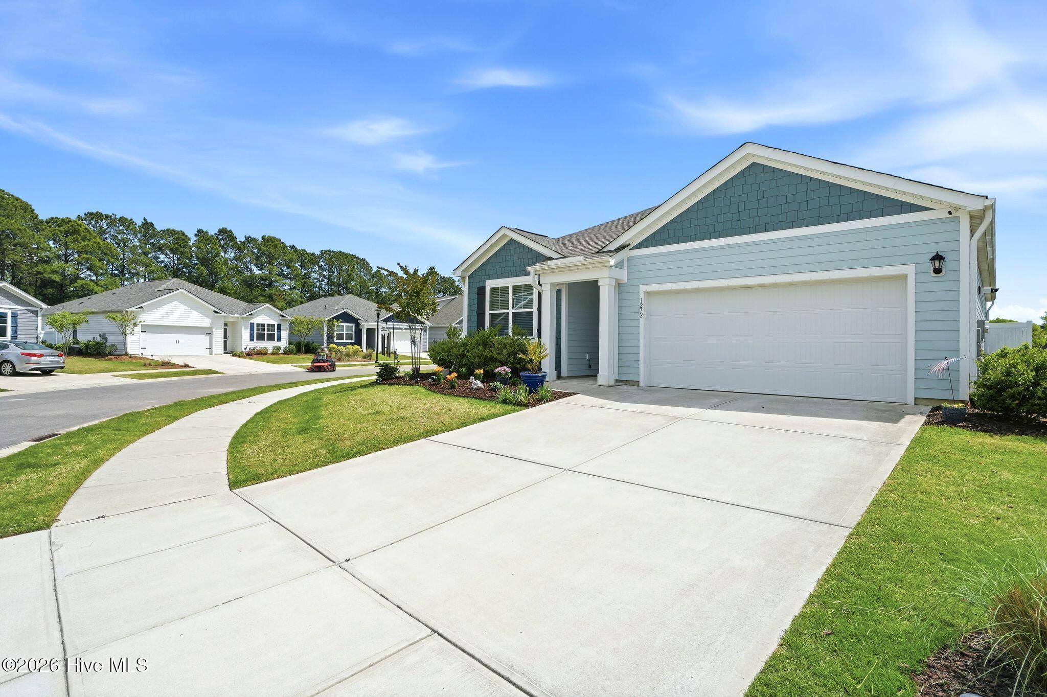 100531826 | Photo 99