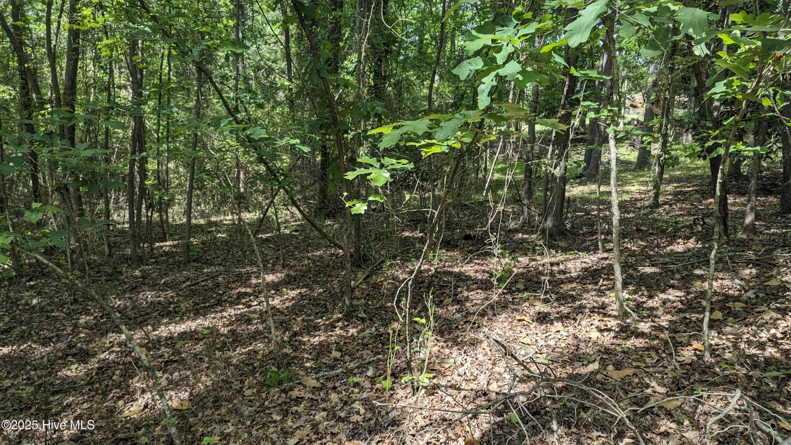 PXL_20240427_192804246