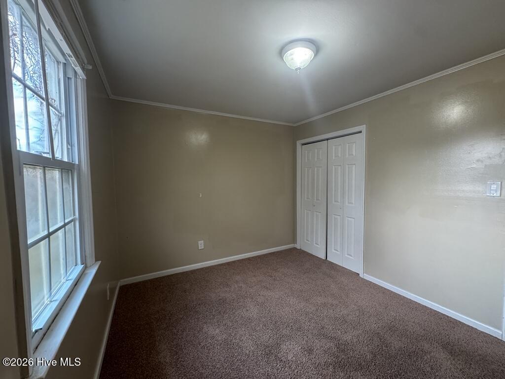 100555904 | Photo 15