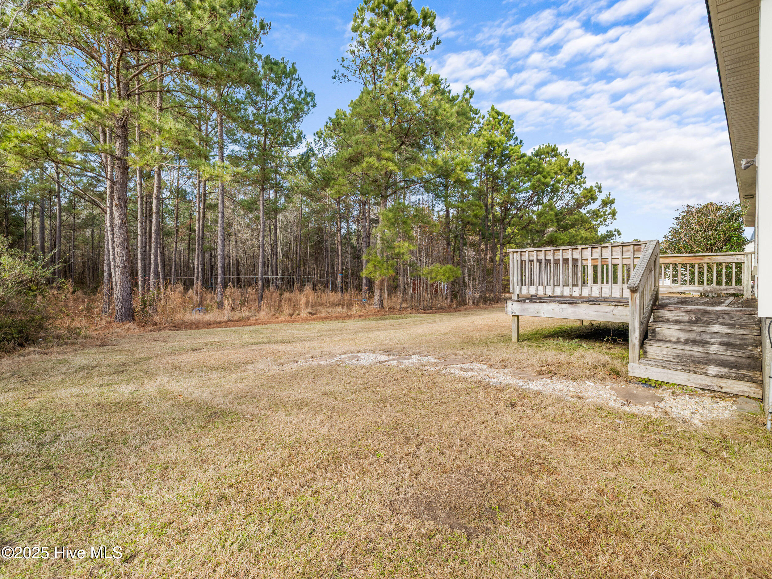 100546613 | Photo 36