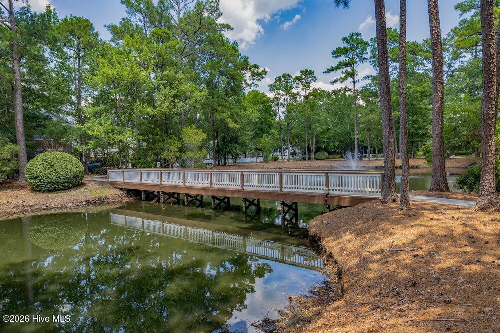 Community pond/bridge