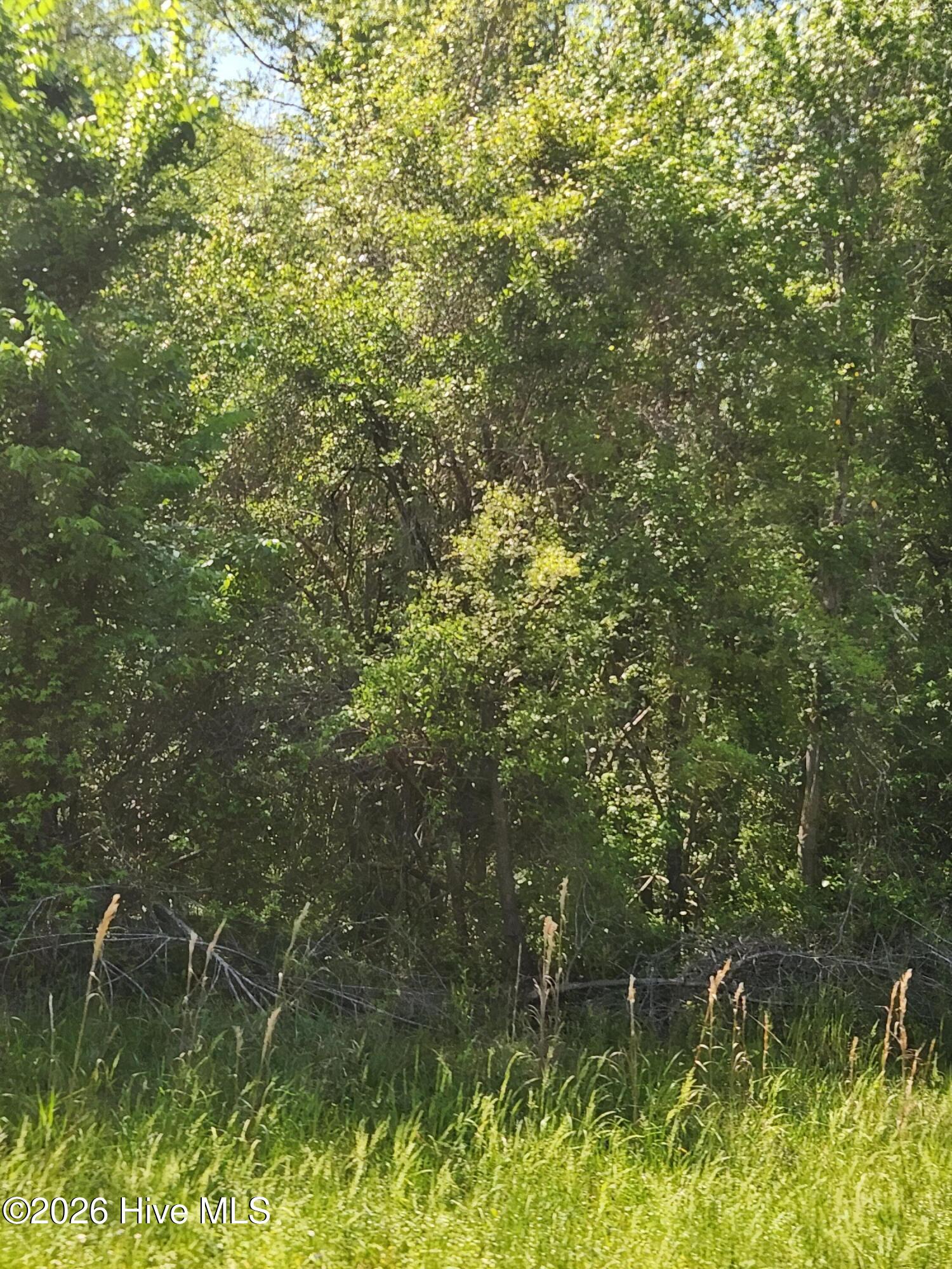 100568530 | Photo 20