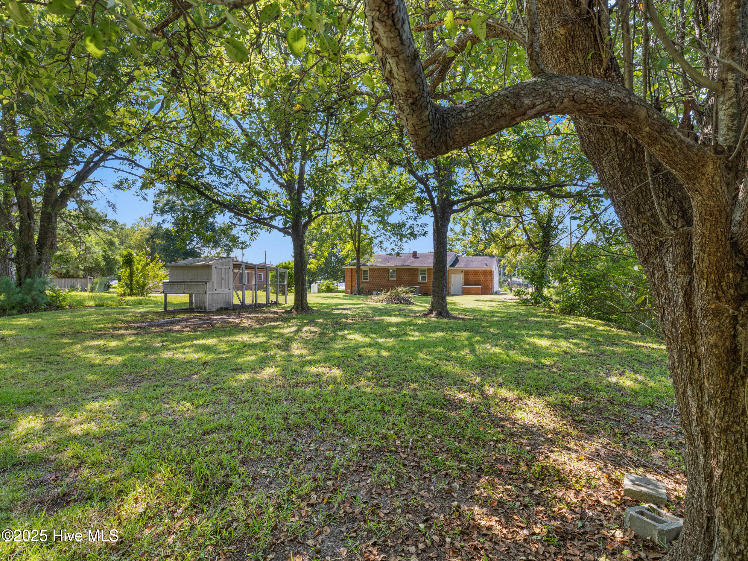 100529453 | Photo 34