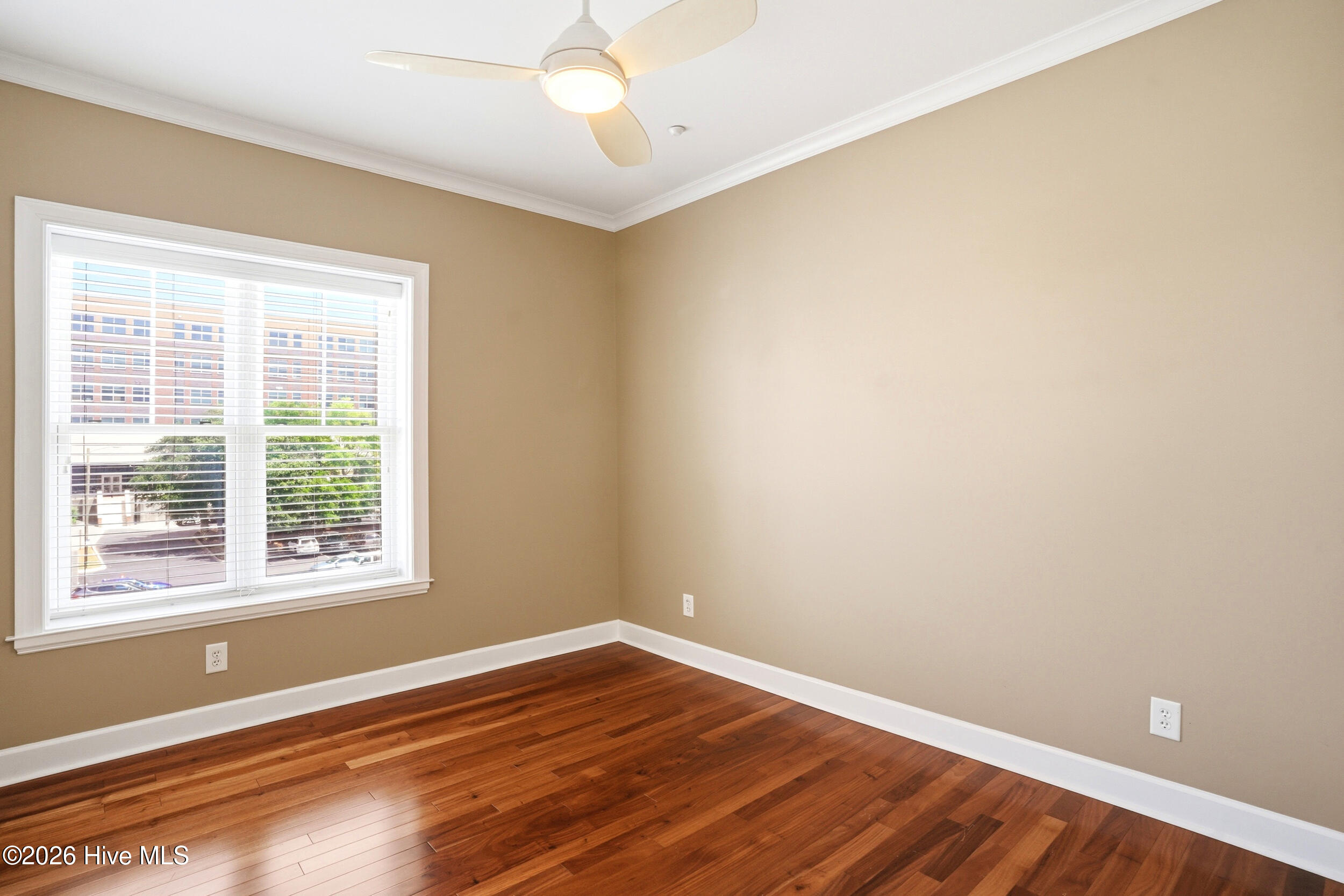 100570172 | Photo 25