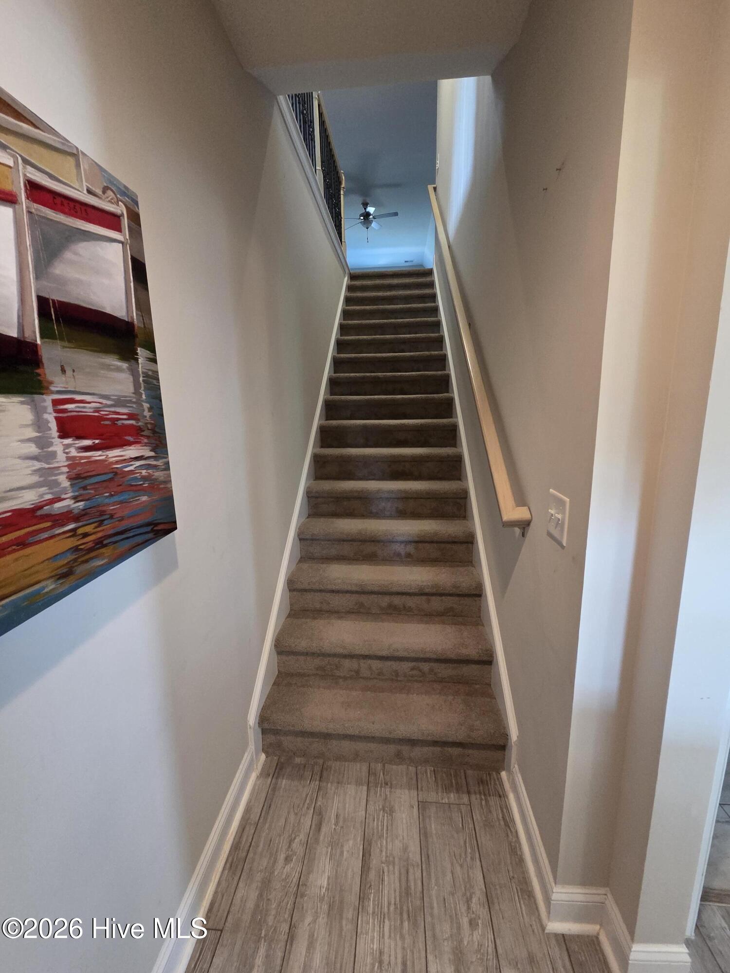 100566407 | Photo 35