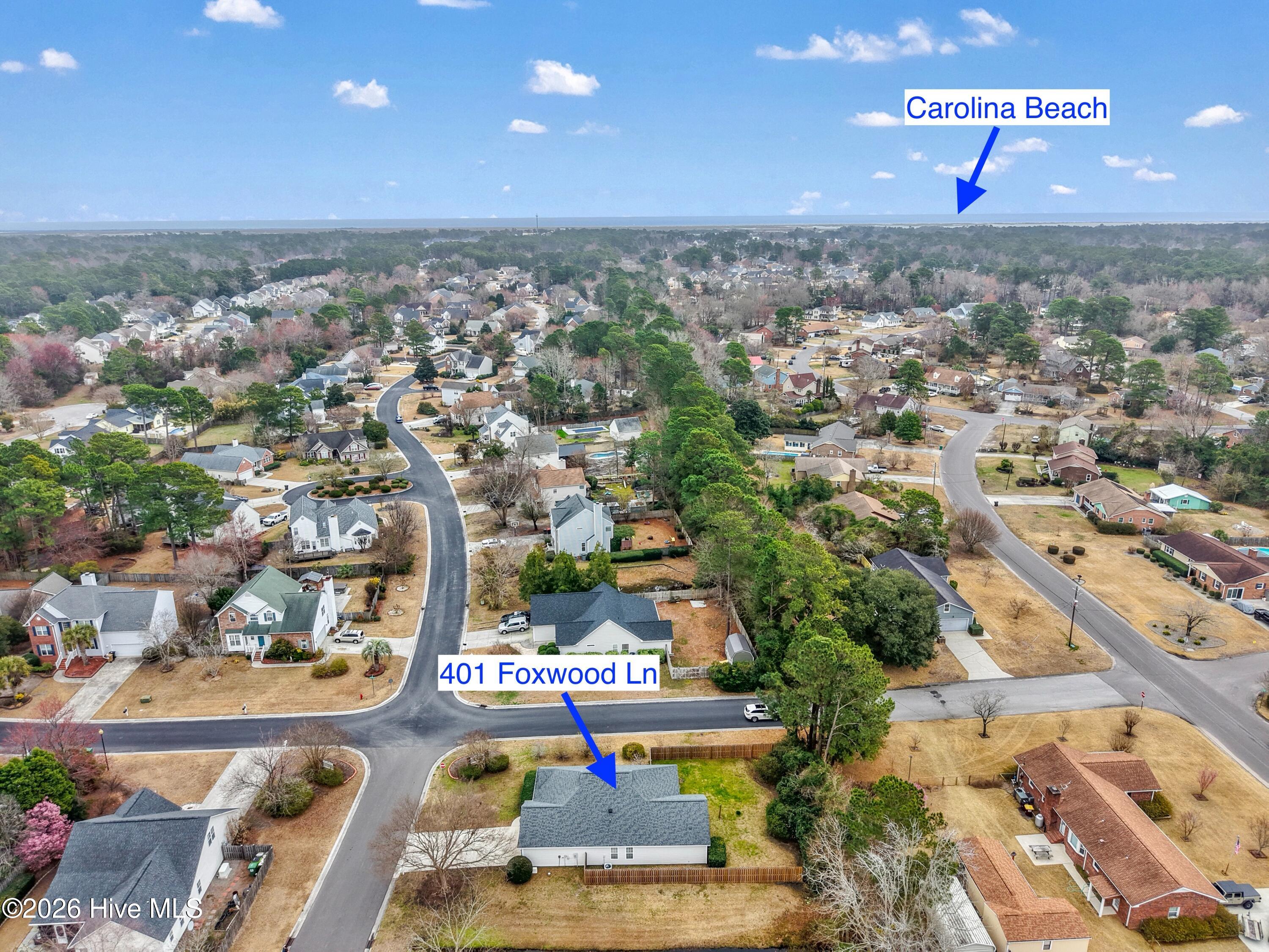 100558212 | Photo 39