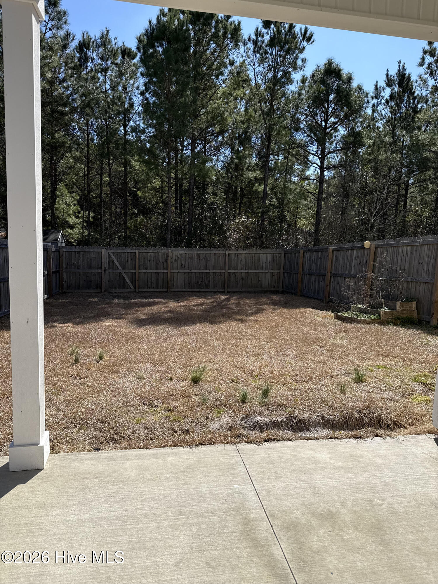 100553509 | Photo 20