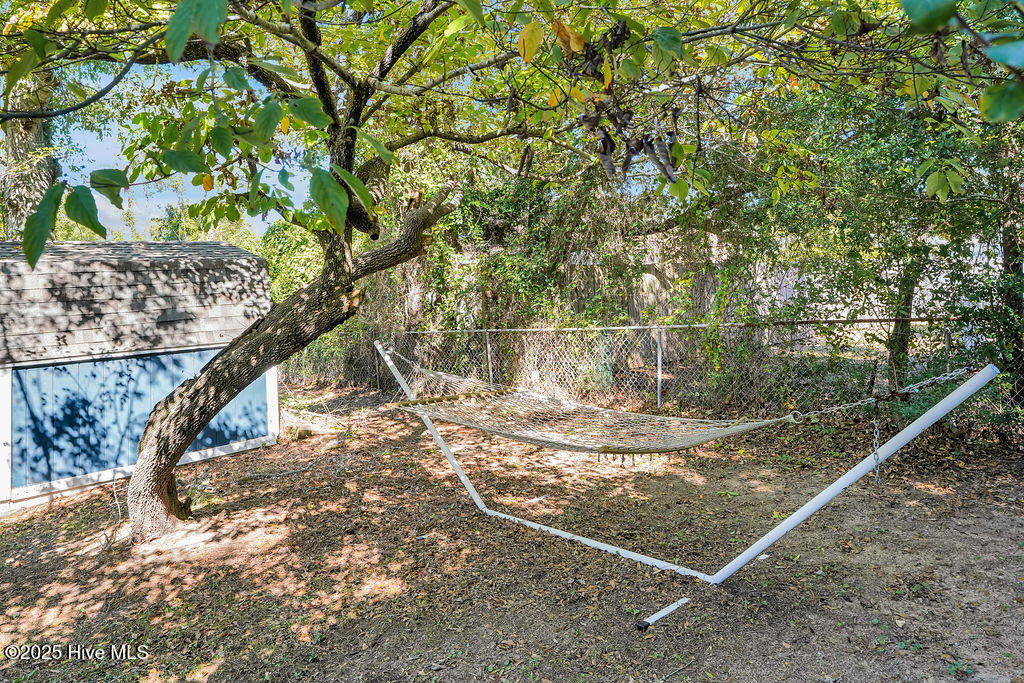 100538835 | Photo 35