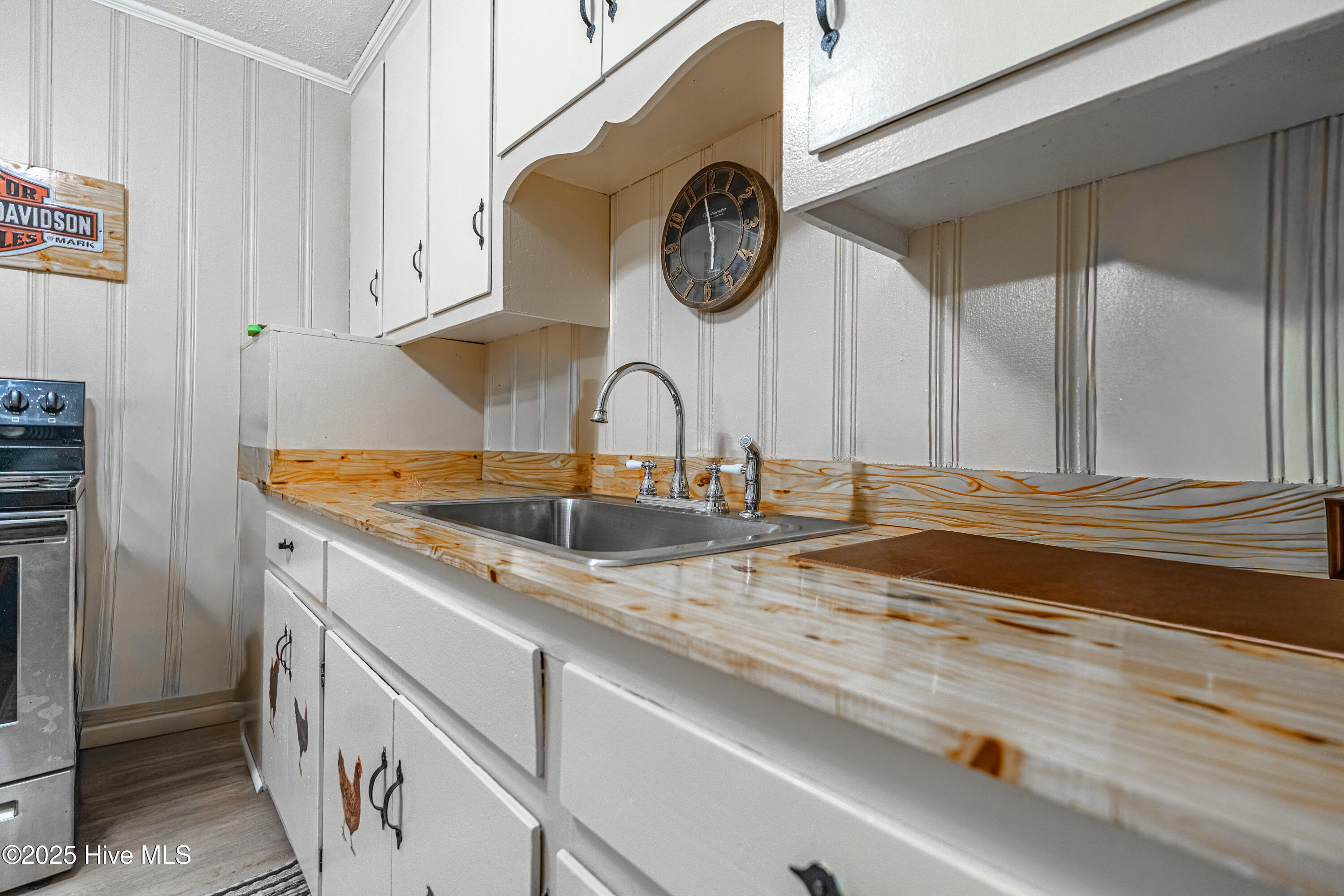 100541983 | Photo 22