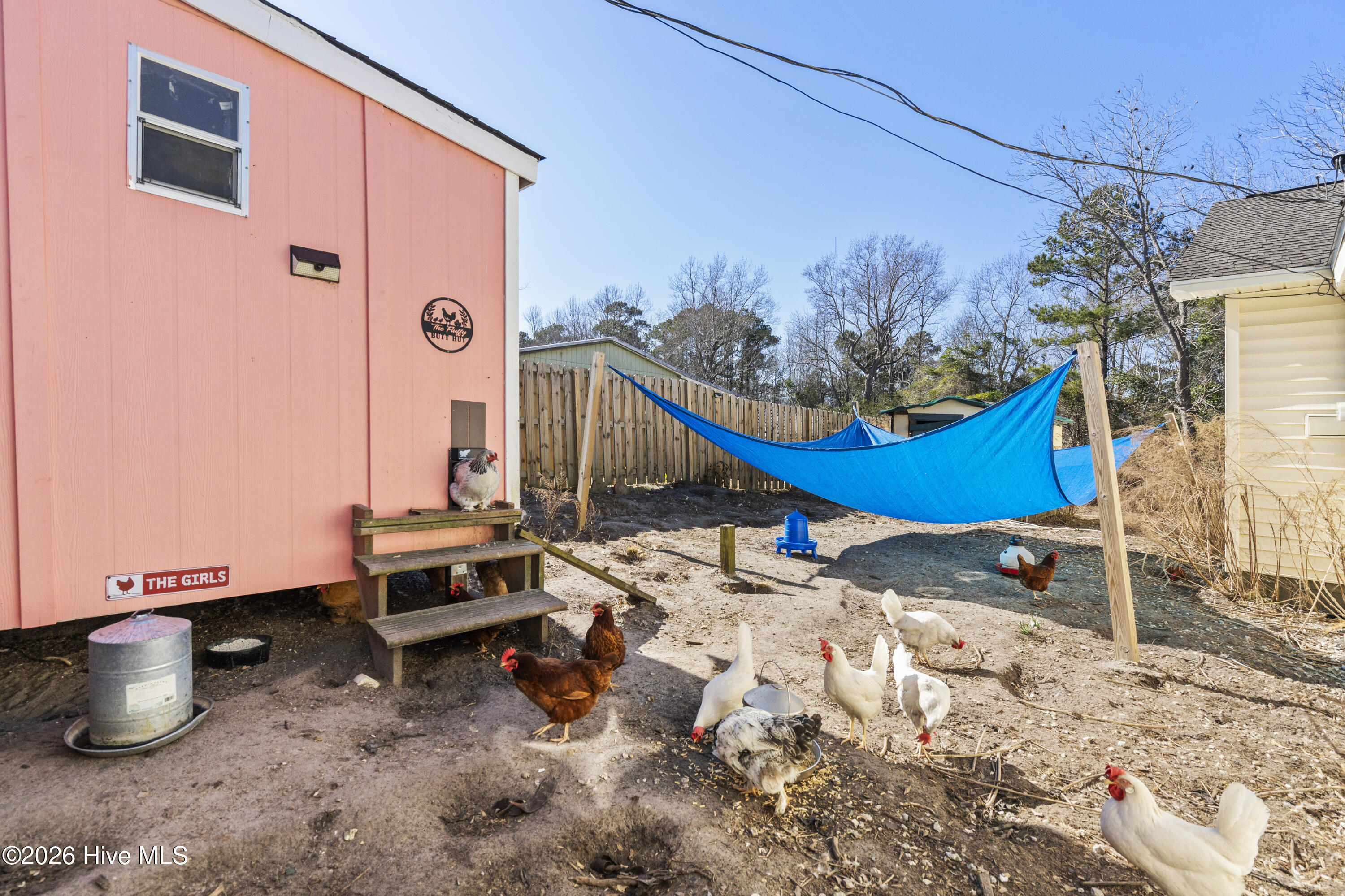 100553037 | Photo 31