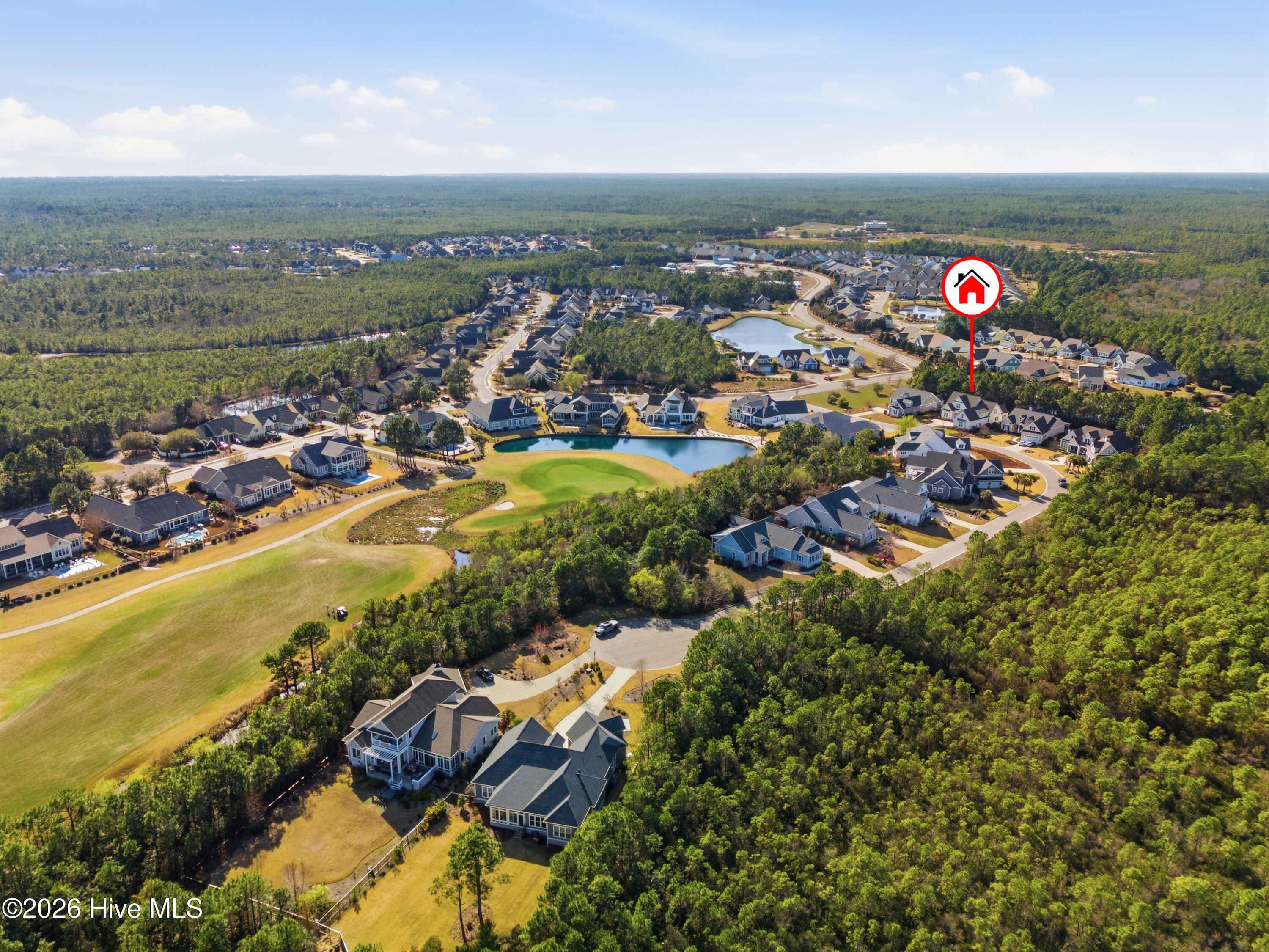 100560697 | Photo 81