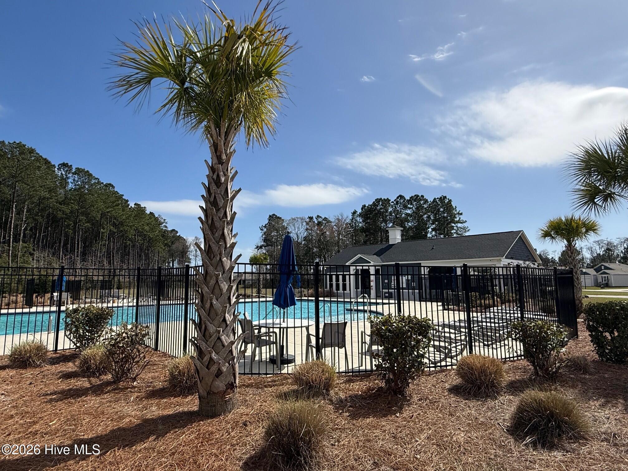 100559069 | Photo 32