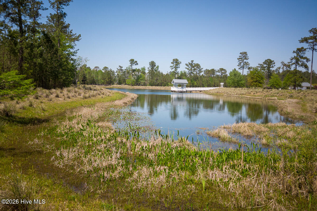 100557146 | Photo 23