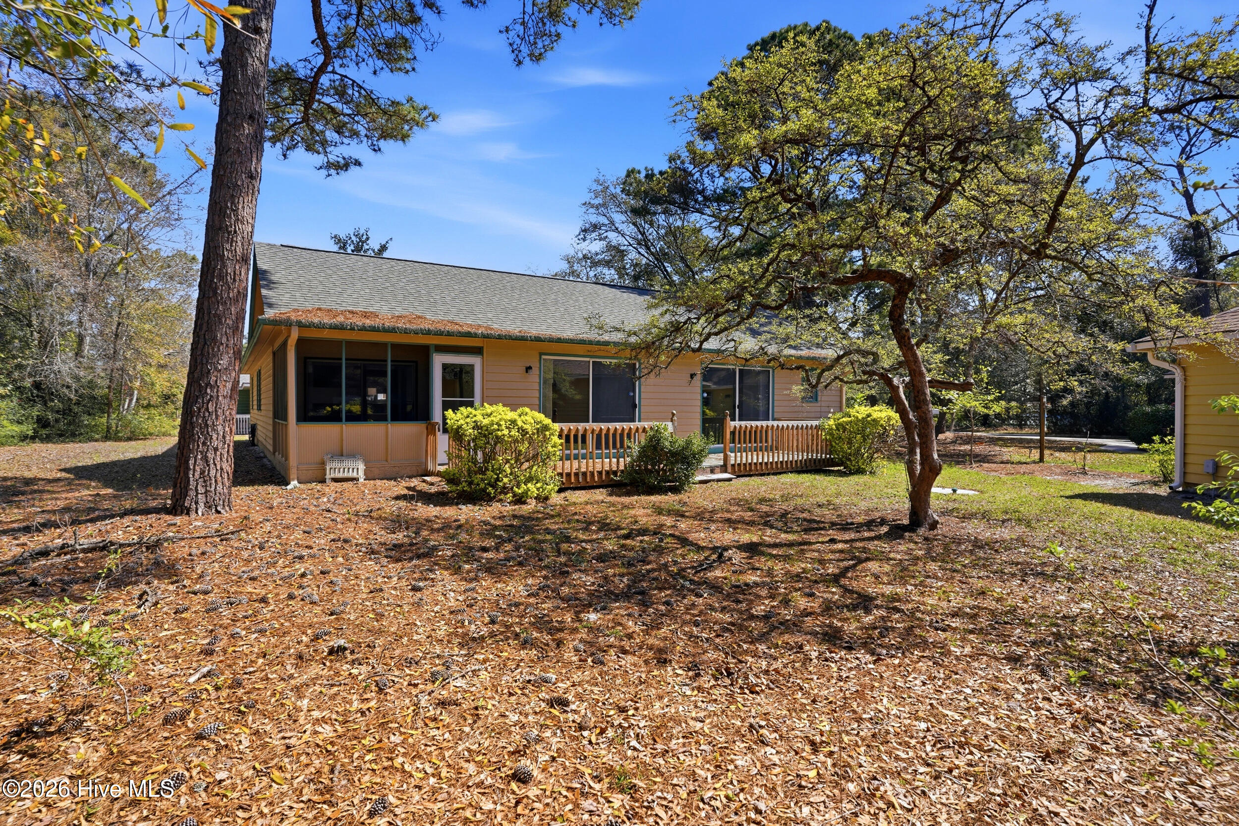 100564154 | Photo 41