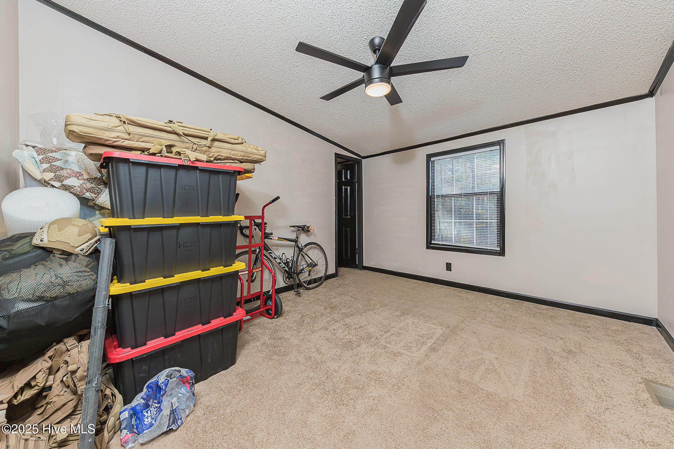 100546784 | Photo 36