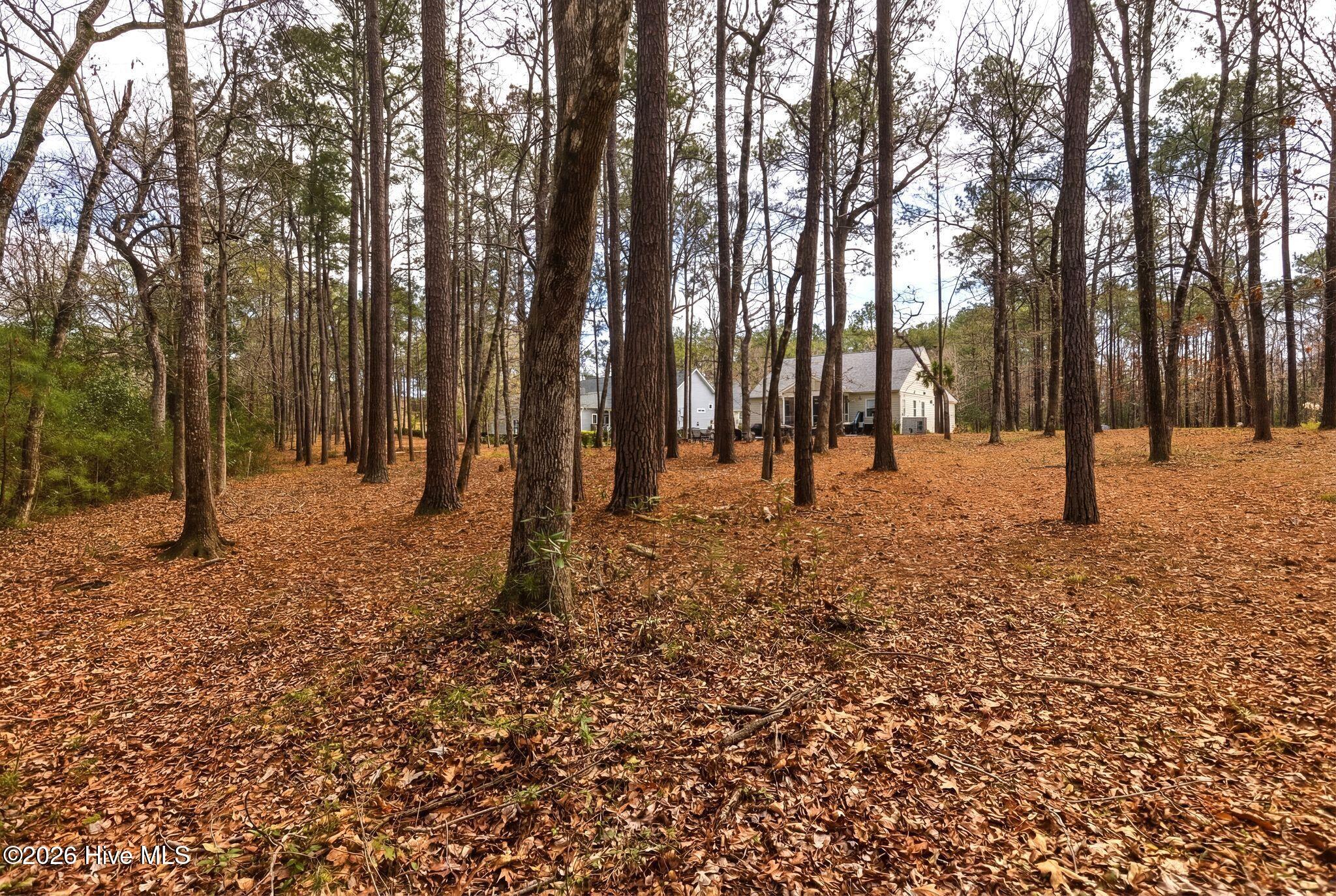 100560702 | Photo 13