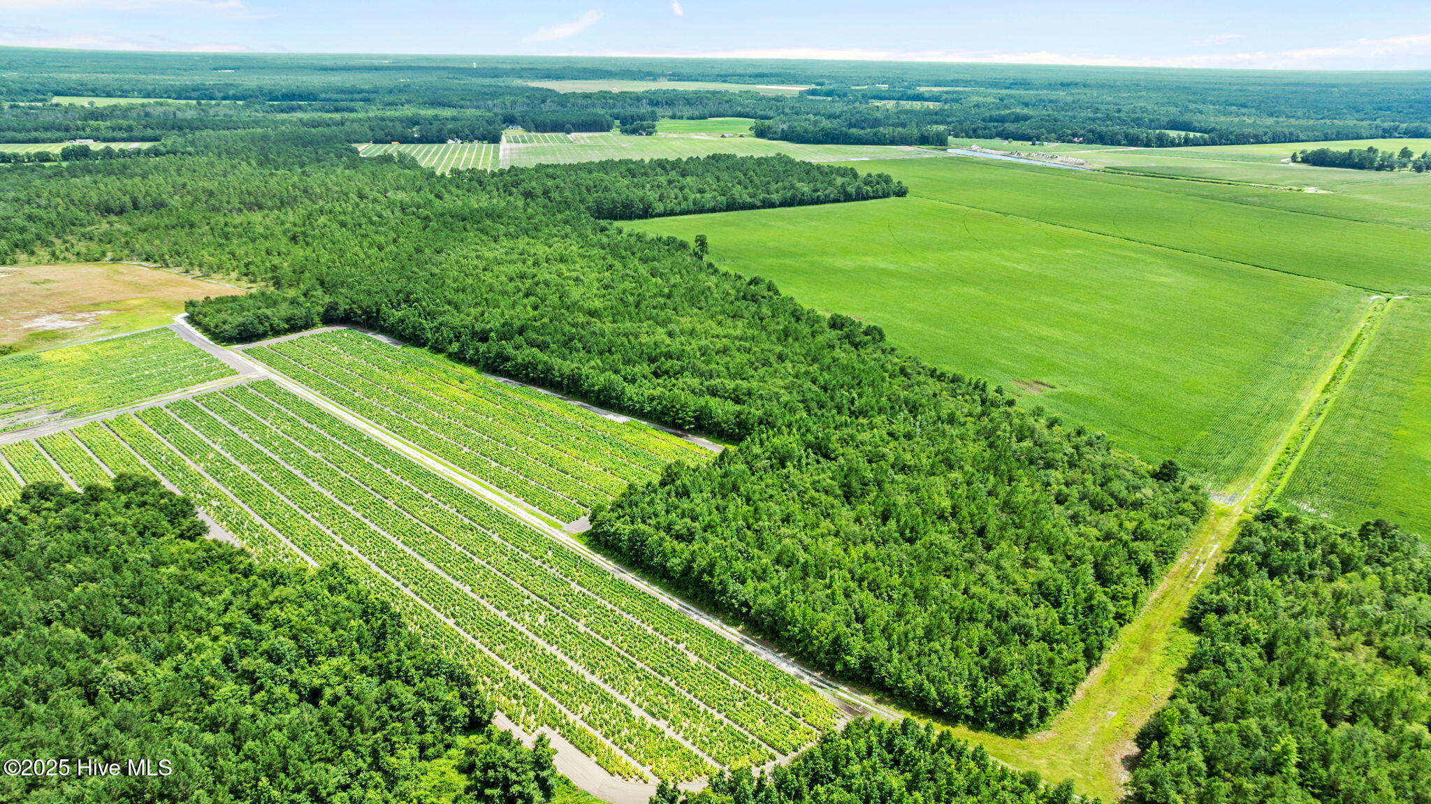 0 Green Sea Road, Garland, NC, 28441